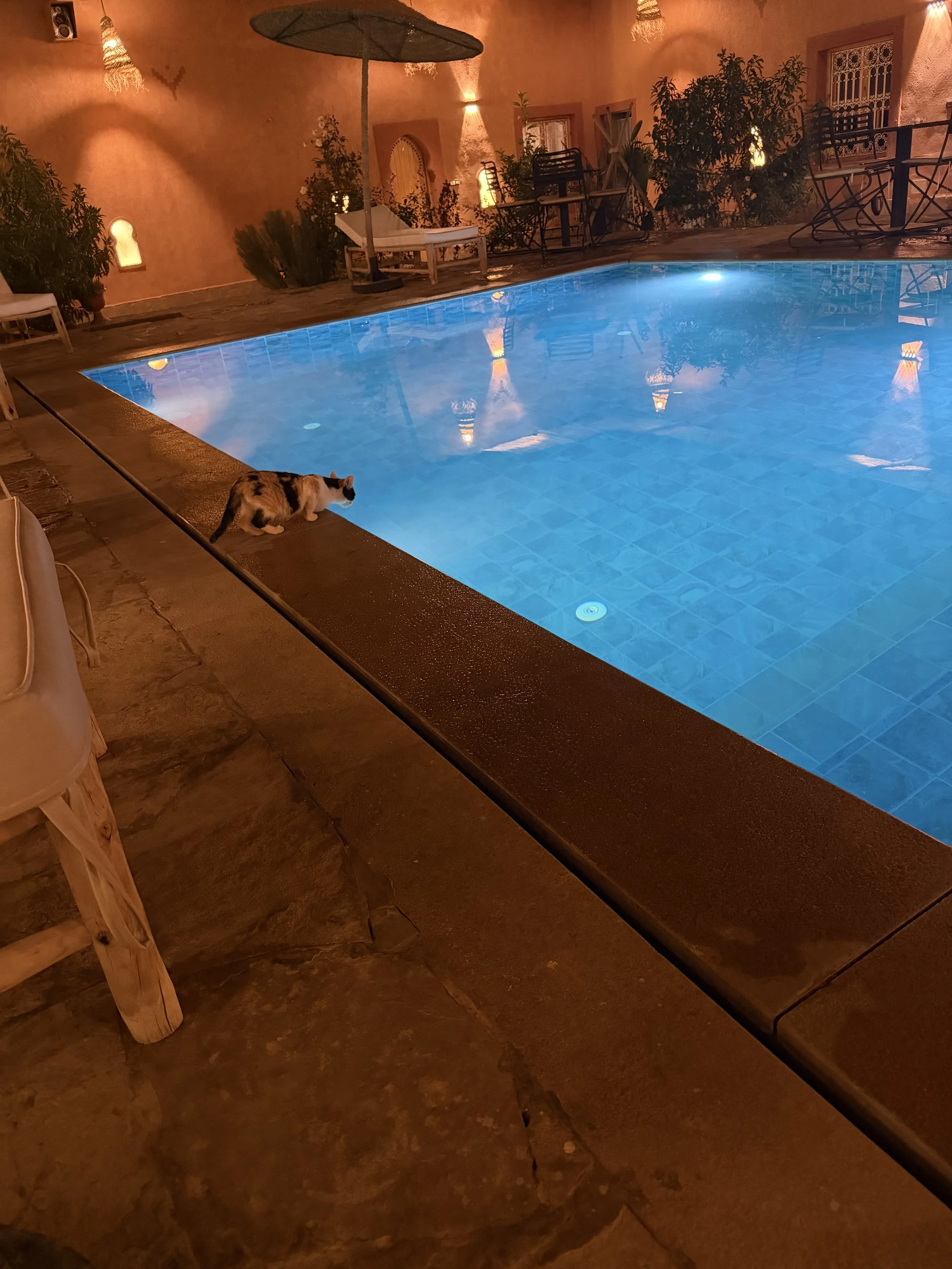 rosehotel.jpg