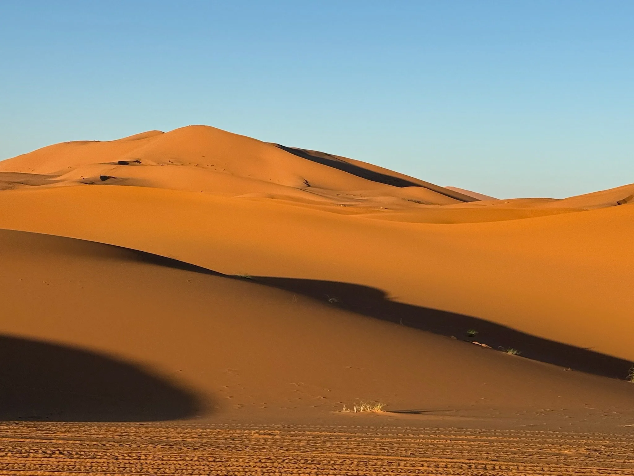 sahara2.jpeg