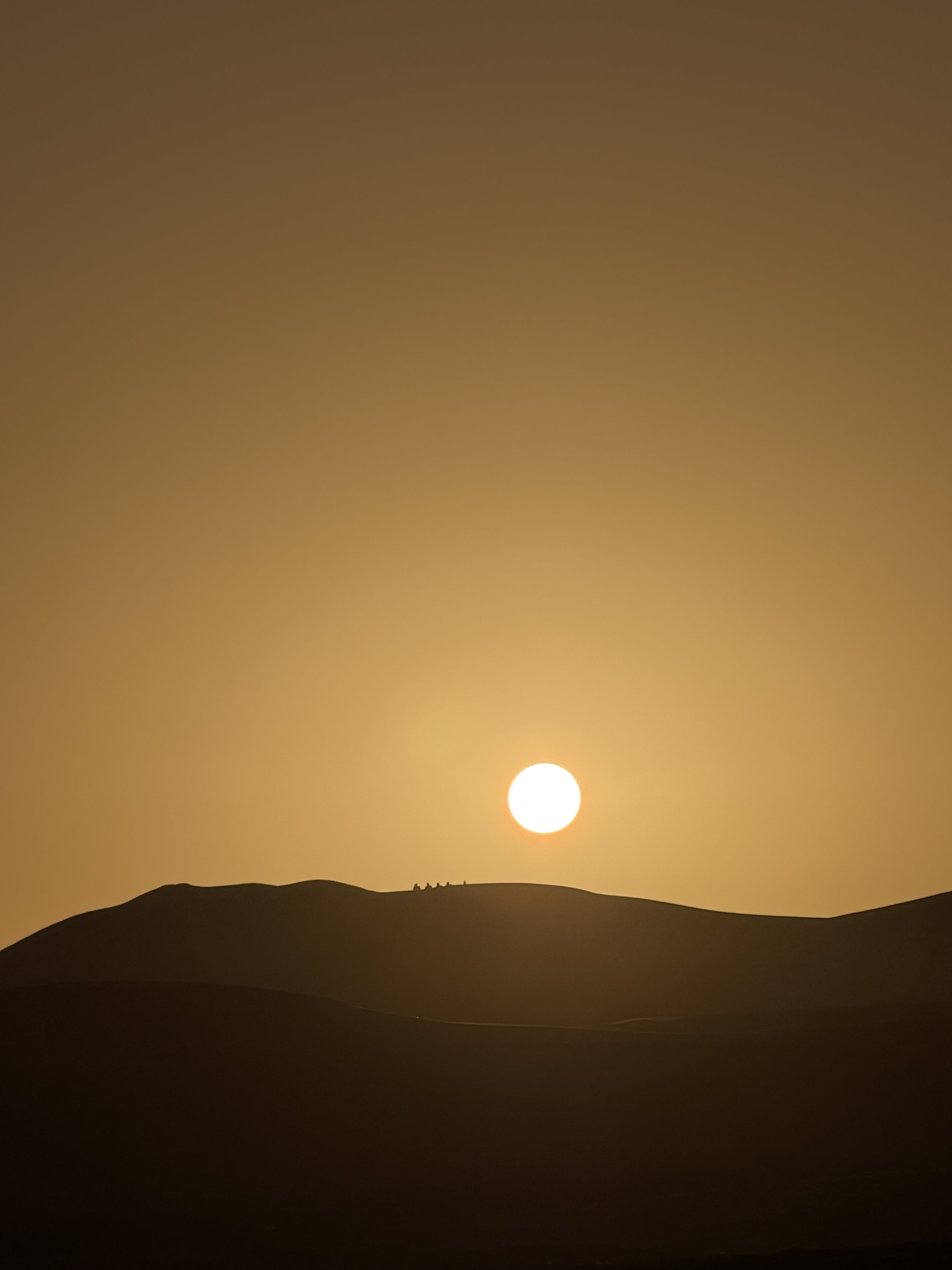 sahara1.jpg