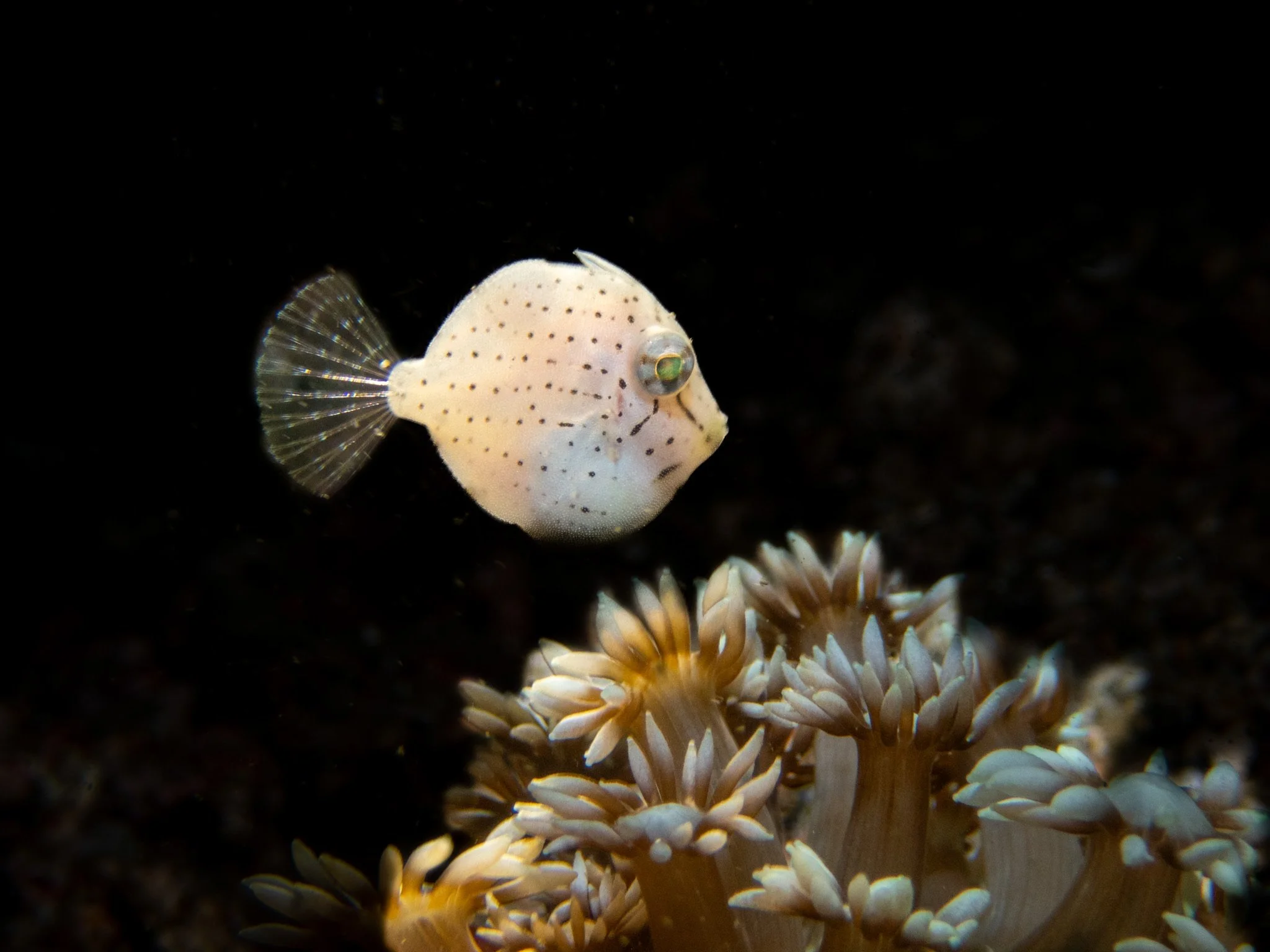 IMG_3450.JPG