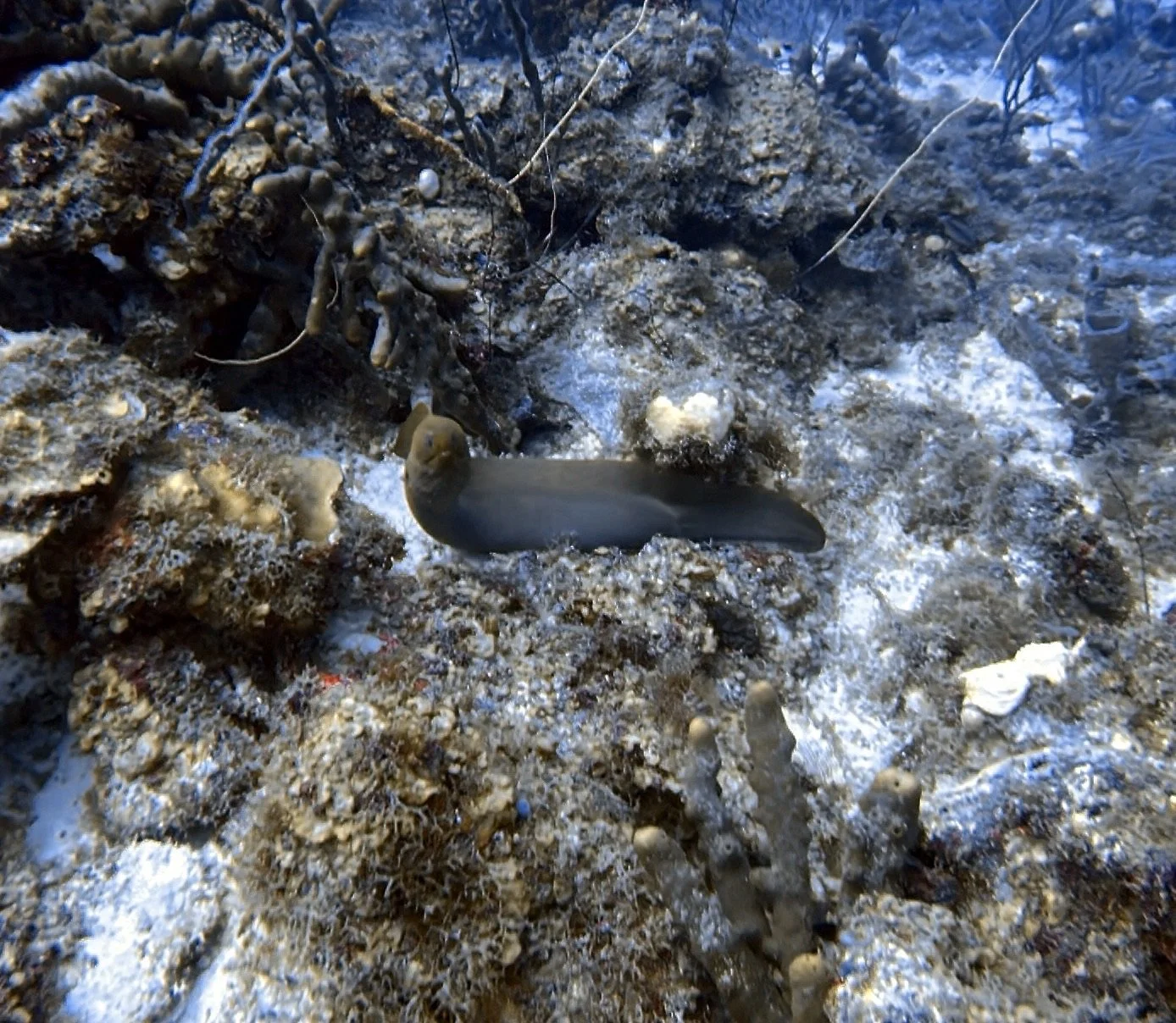 IMG_5905.JPG