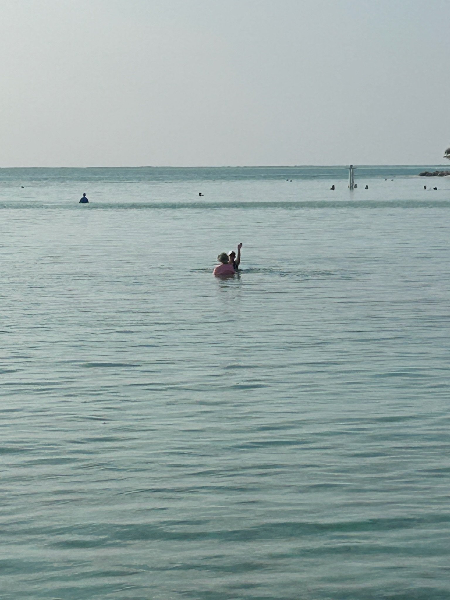 IMG_3486.JPG