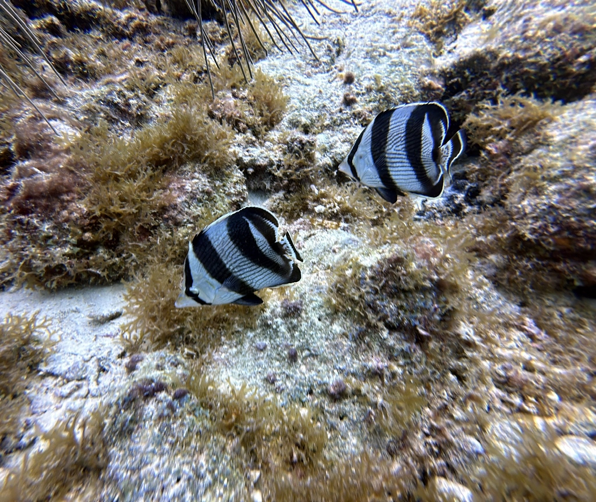 IMG_5891.JPG