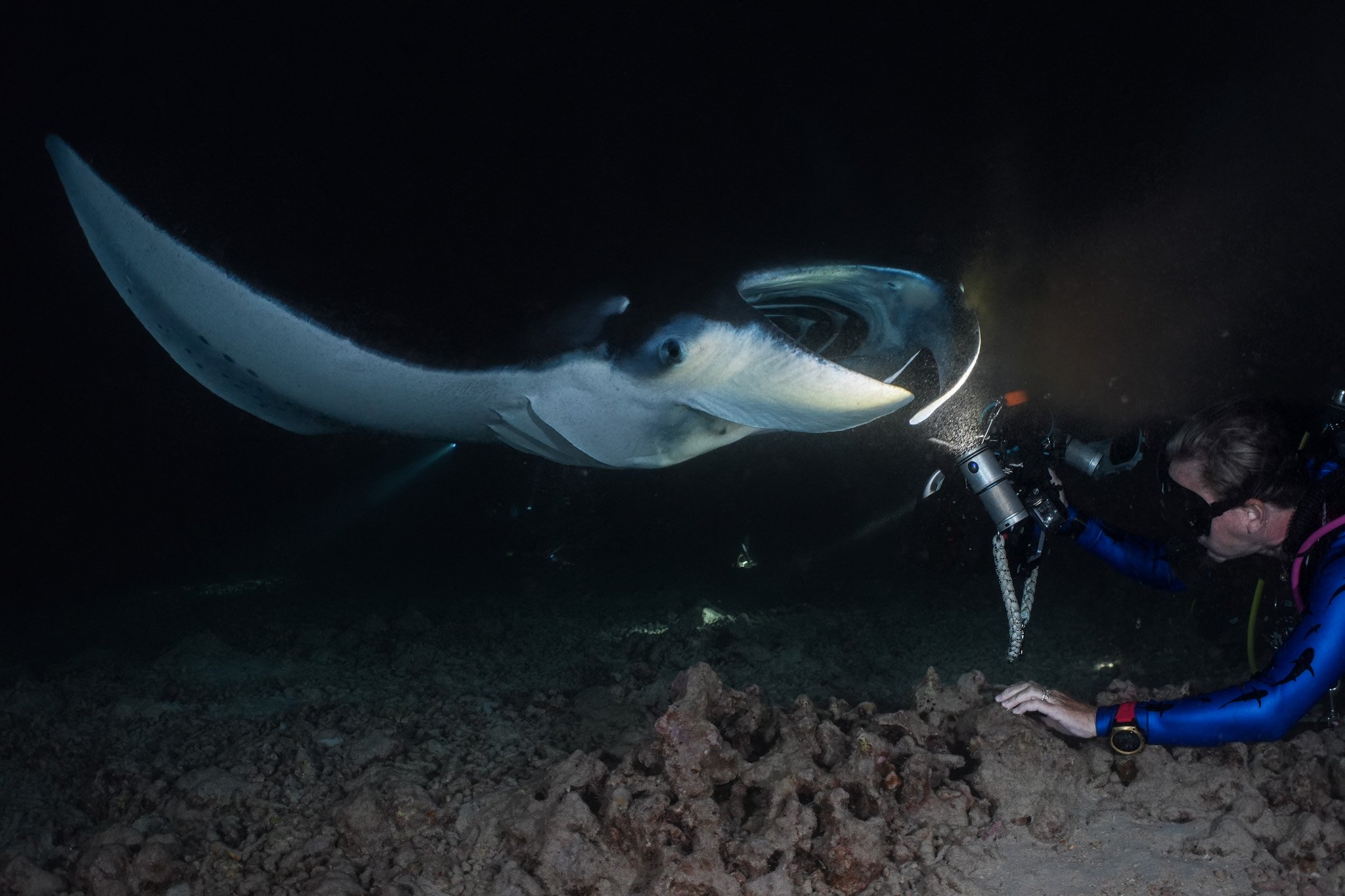 23 Oct_Manta_13.jpg