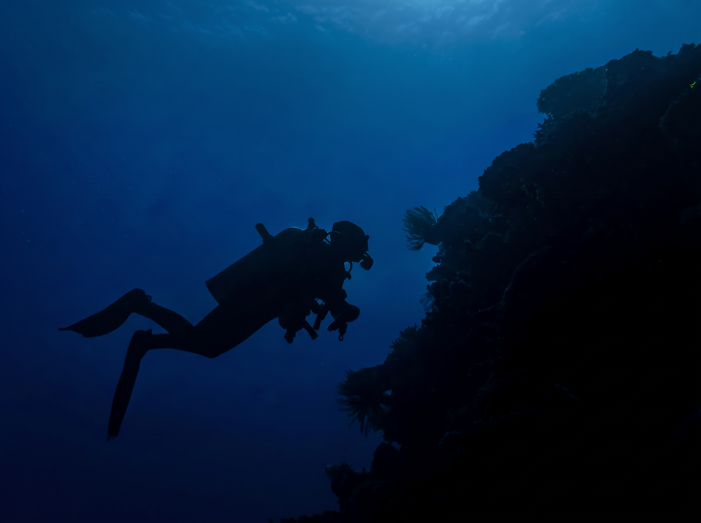 Experimenting with silhouettes and natural light in Fiji. I loved how the sunlight filtering down from the surface created this beautiful contrast between Jillian, the reef, and the deep blue water. A fun opportunity to play with composition and expl