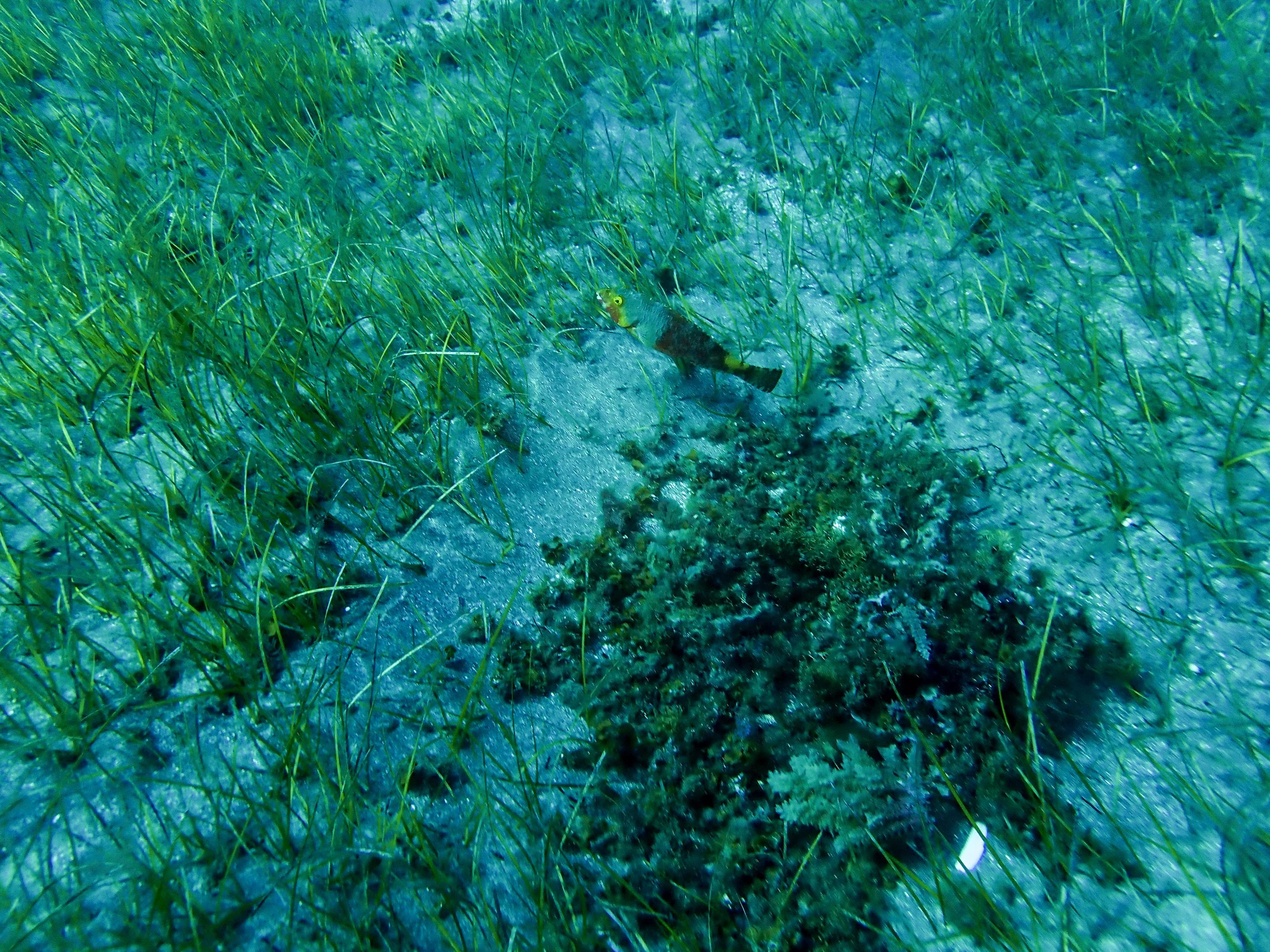 P5260021.jpg