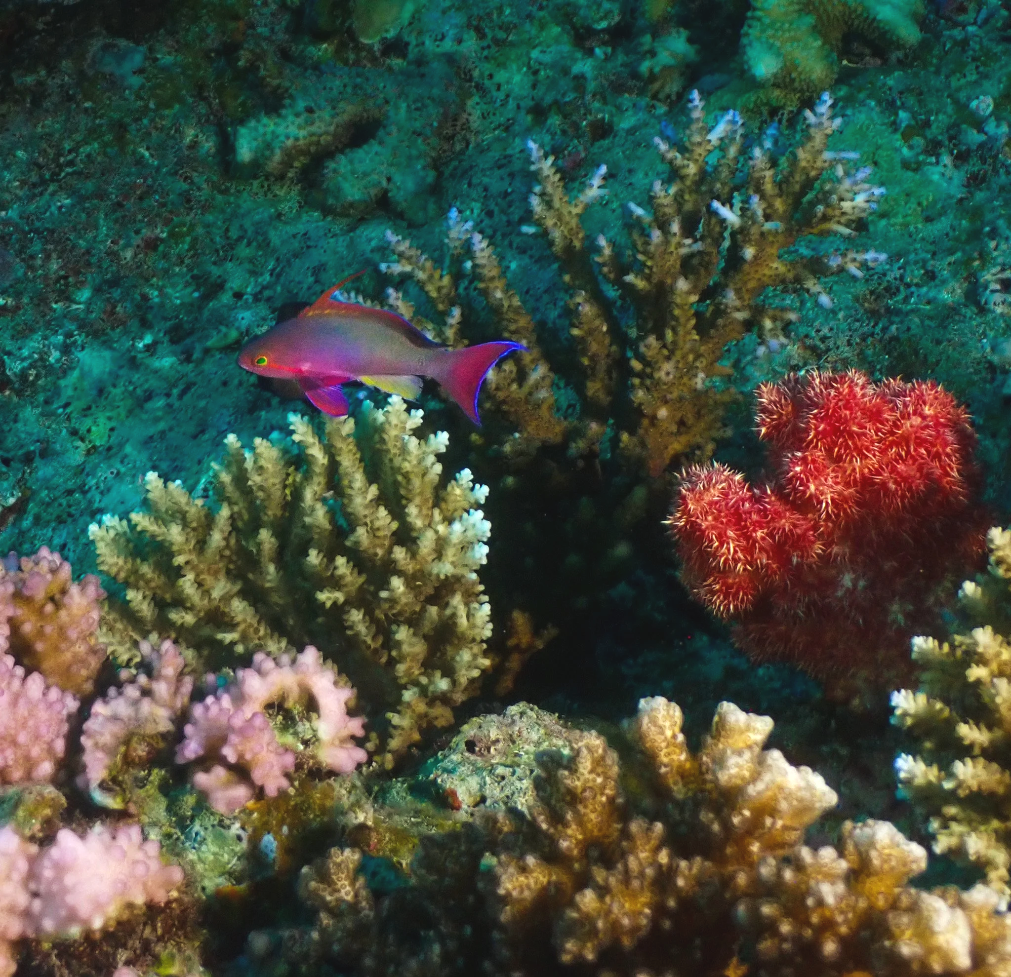 P7010087.png