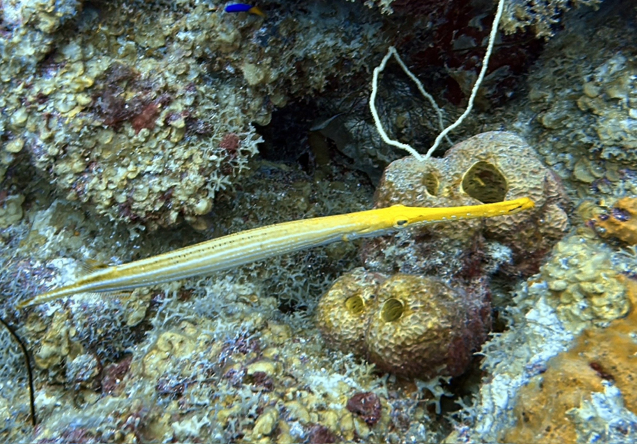 IMG_5755.JPG