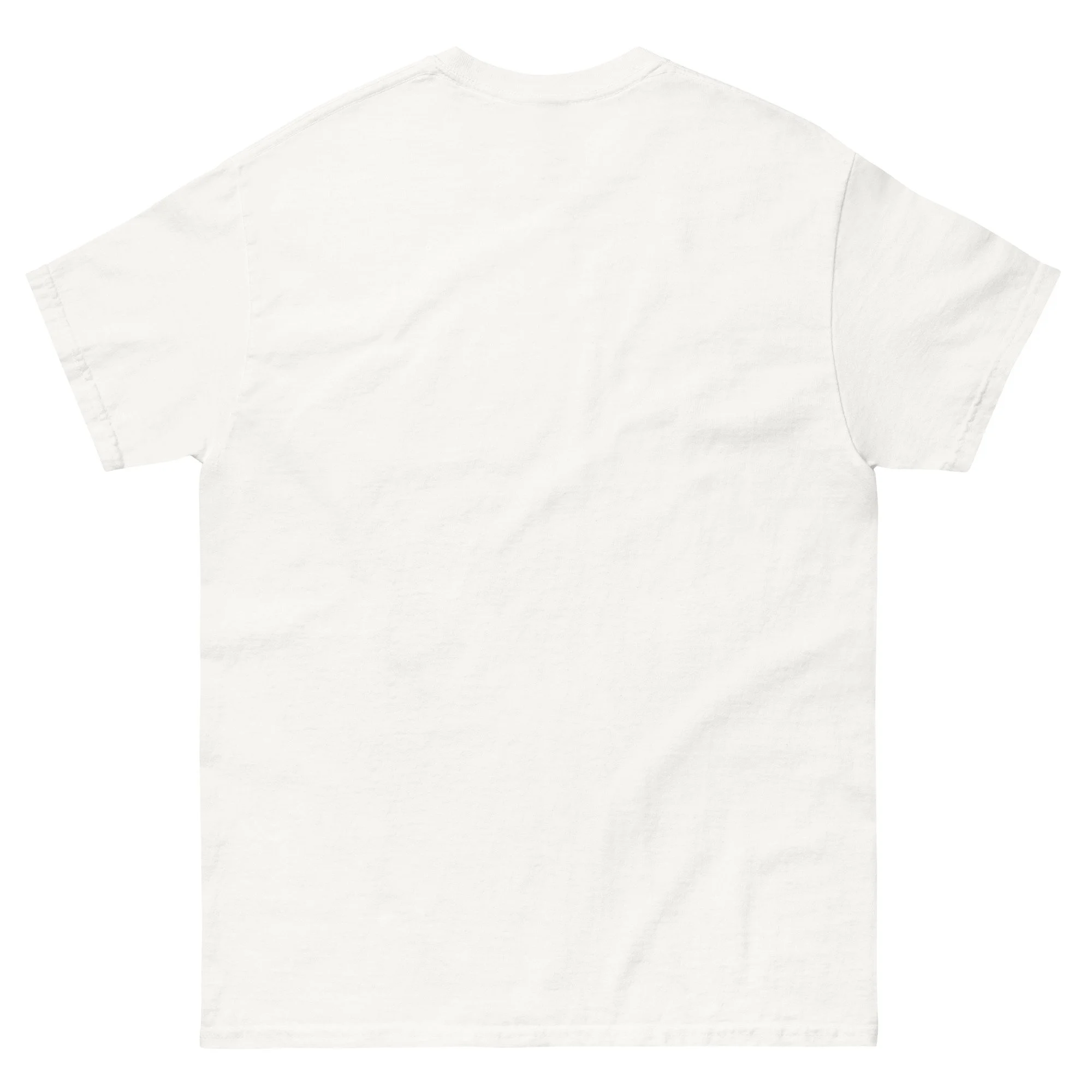 unisex-classic-tee-white-back-689287f9819c7.jpg