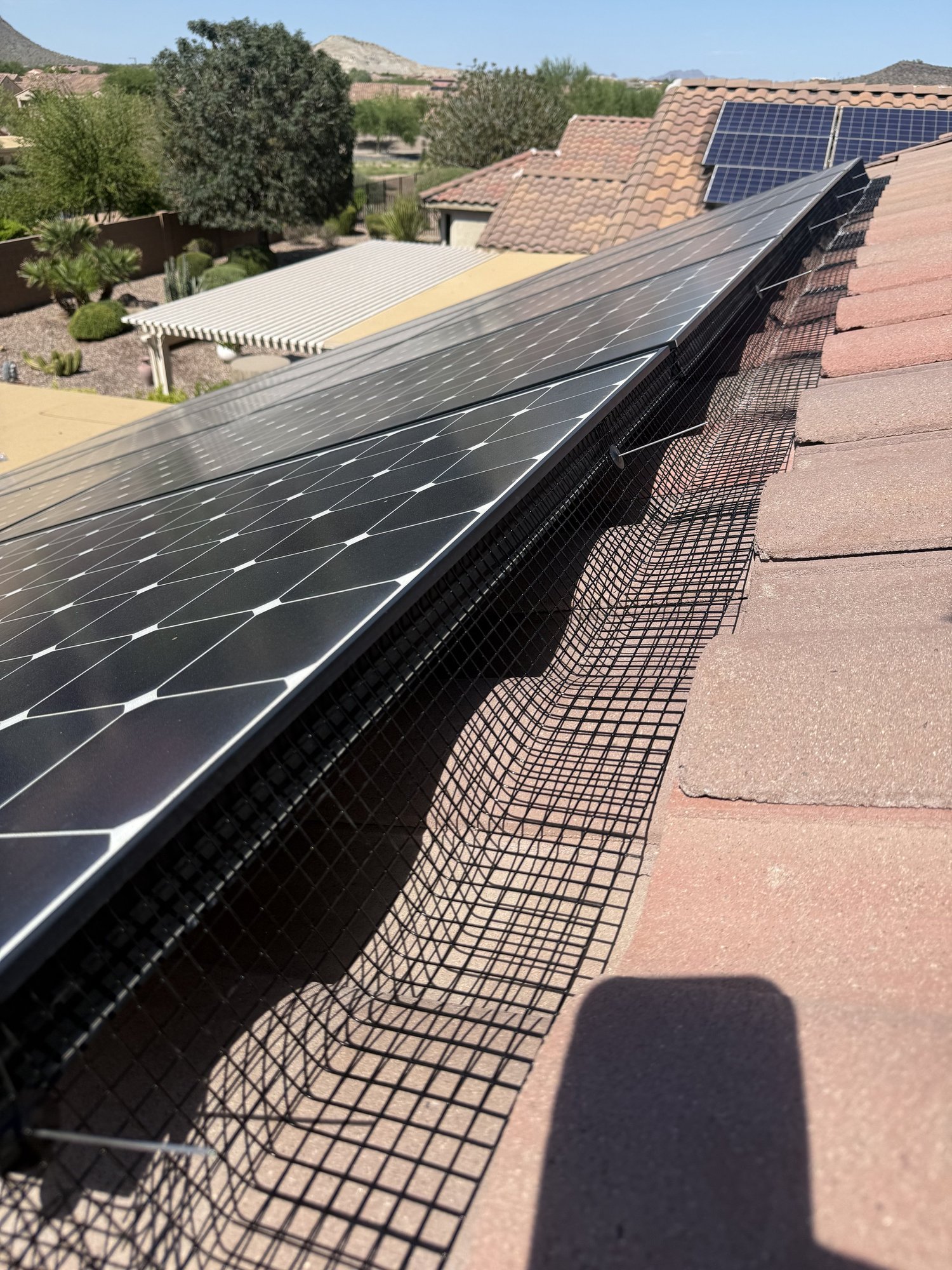 Solar panels after pigeon proofing barrier installation