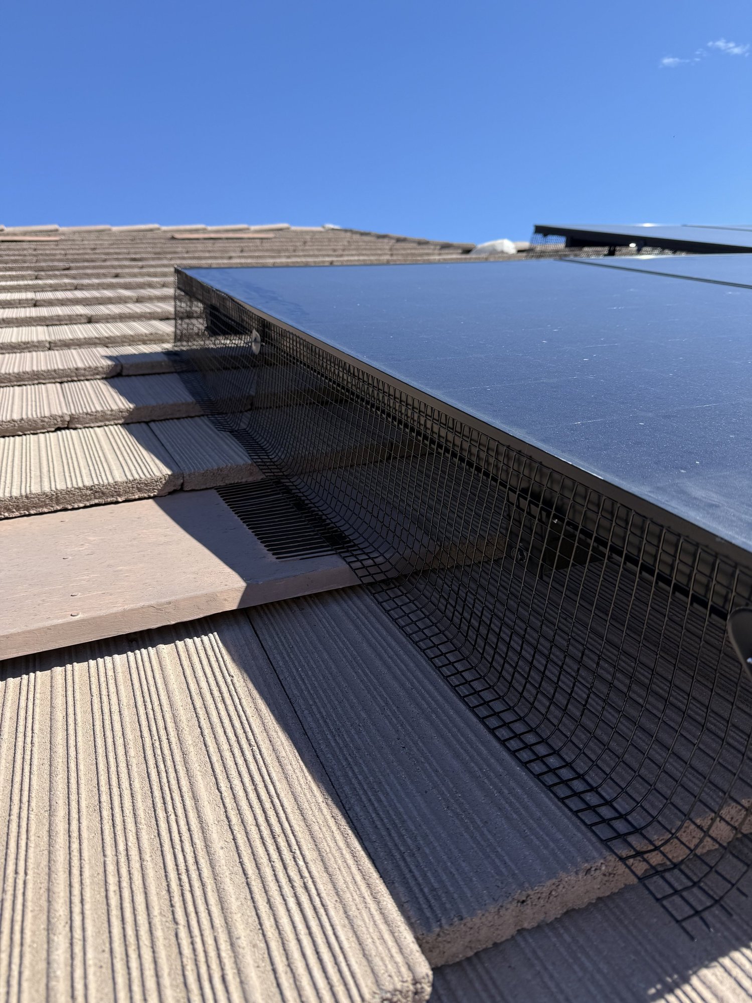 Solar Panel Pigeon Proofing
