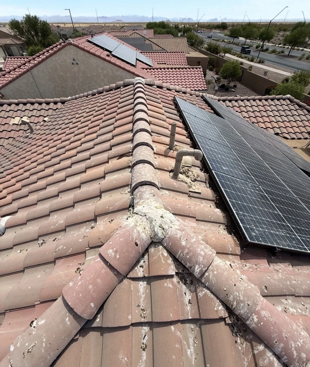 Solar panels protected with pigeon proofing in Queen Creek Arizona