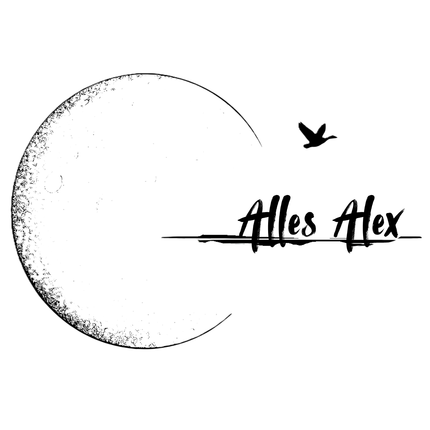 Alles Alex