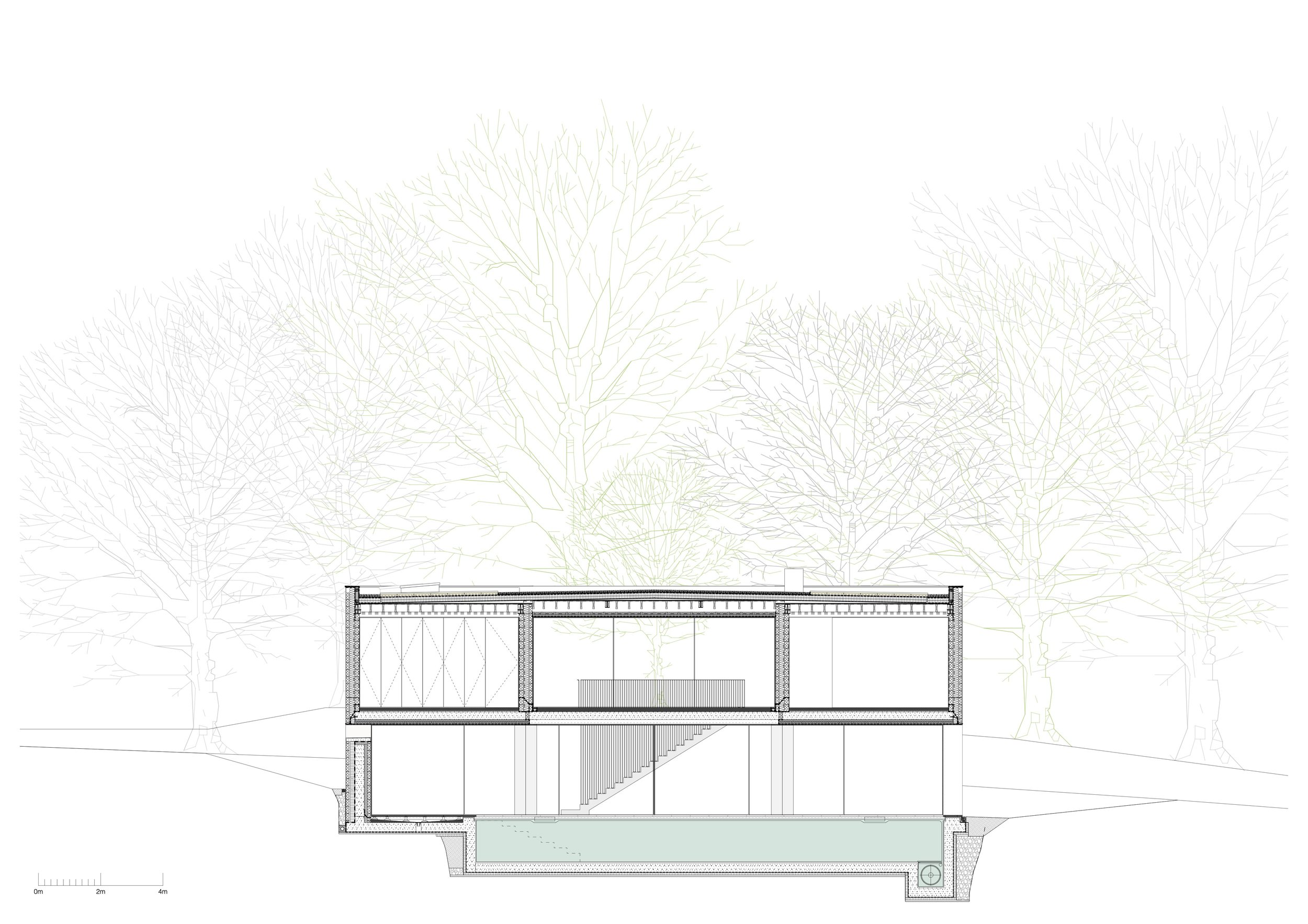 AMA_05_Cross Section.jpg