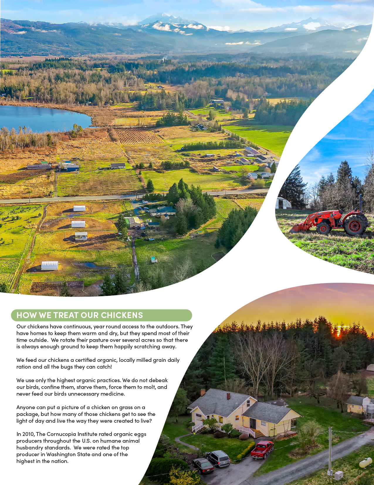 Misty Meadows Farm Brochure-Business-2.png