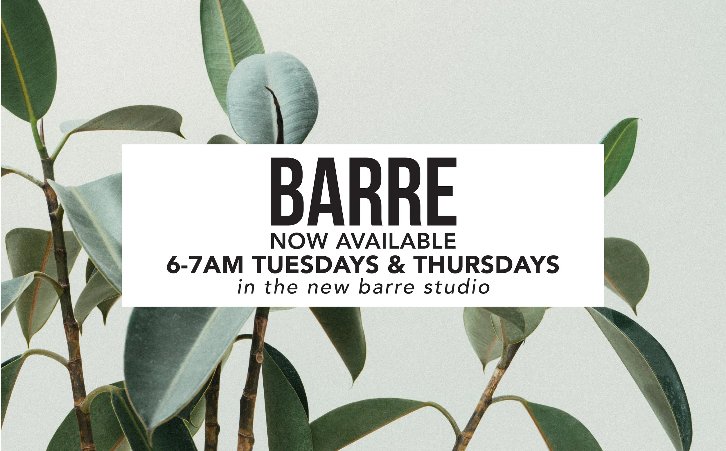 Barre tu-th REACH-01.jpg