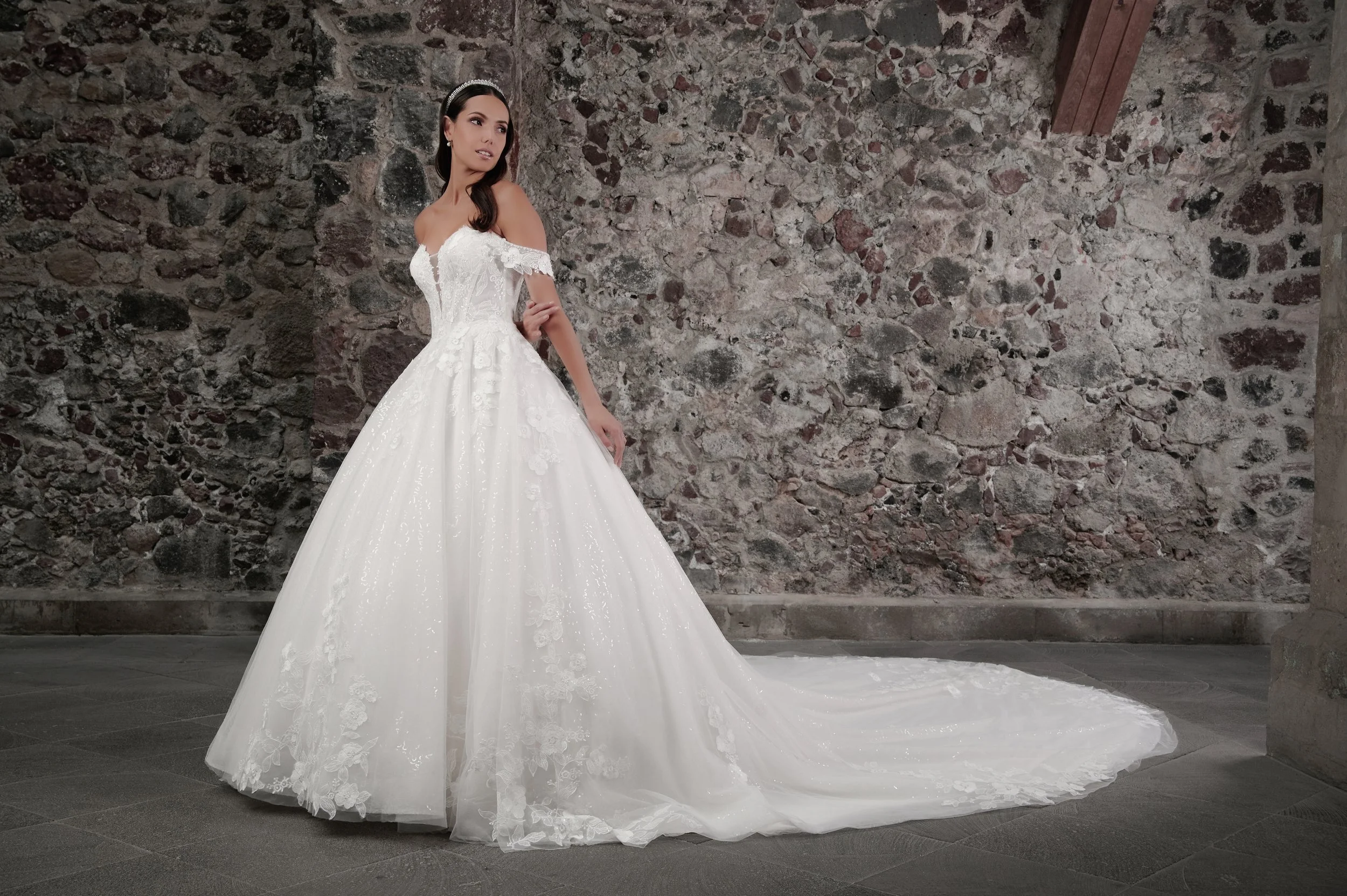 Novia con el vestido Carina de Bridenformal, princesa de tul con brillo y mangas caídas de encaje, vista frontal con cola.