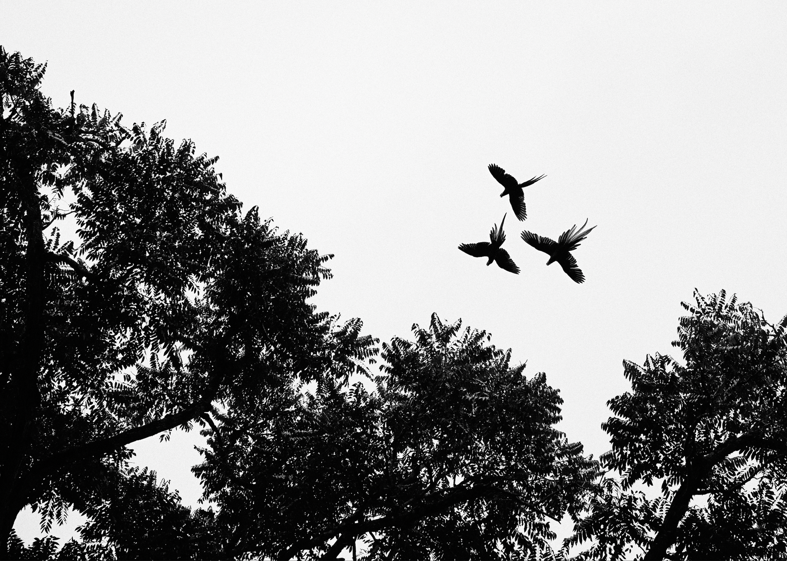 Copan, Honduras, 2022