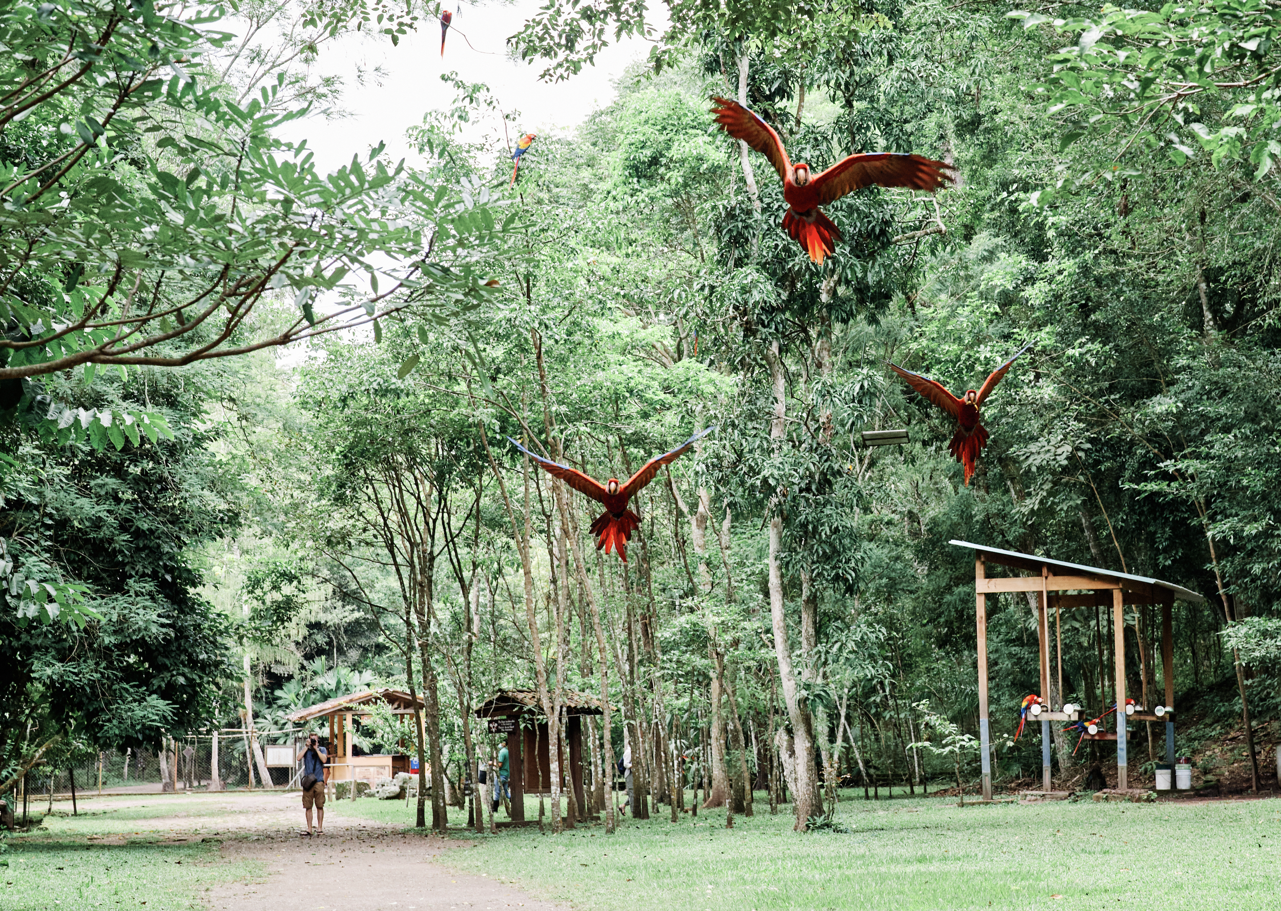 Copan, Honduras, 2022