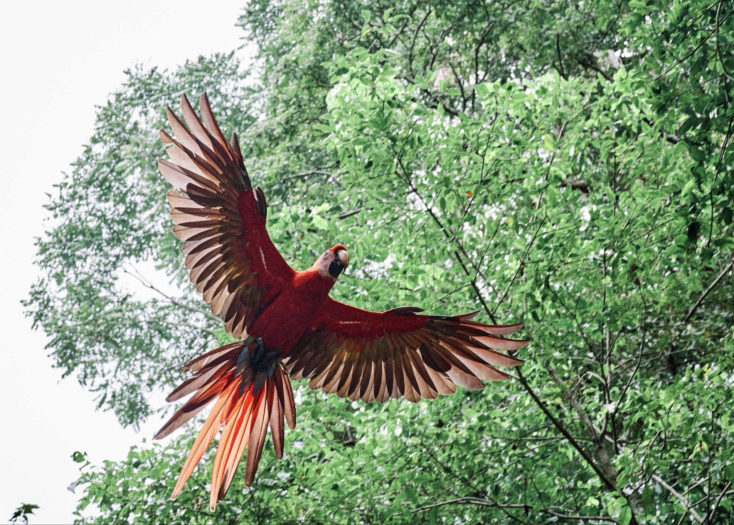 Copan, Honduras, 2022