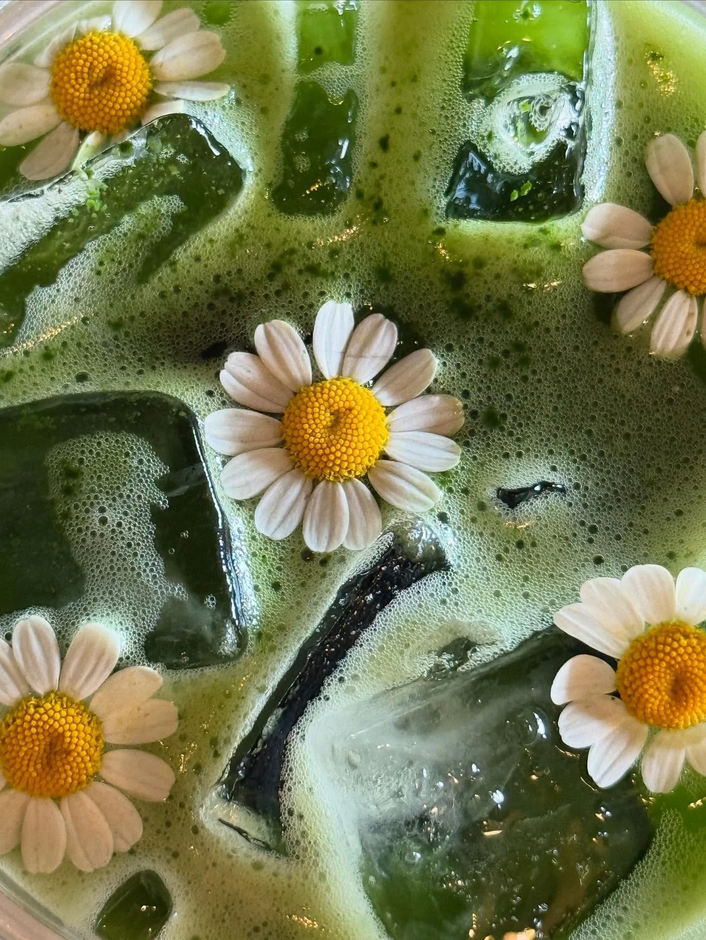 🌿MATCHA FACTS &amp; FLORALS🌼
Okay real talk: there&rsquo;s a matcha shortage in Japan right now 😱 and it&rsquo;s got the tea world buzzing. Why? Because real, high-grade Japanese matcha takes time, skill, and a whole lot of patience to produce &md