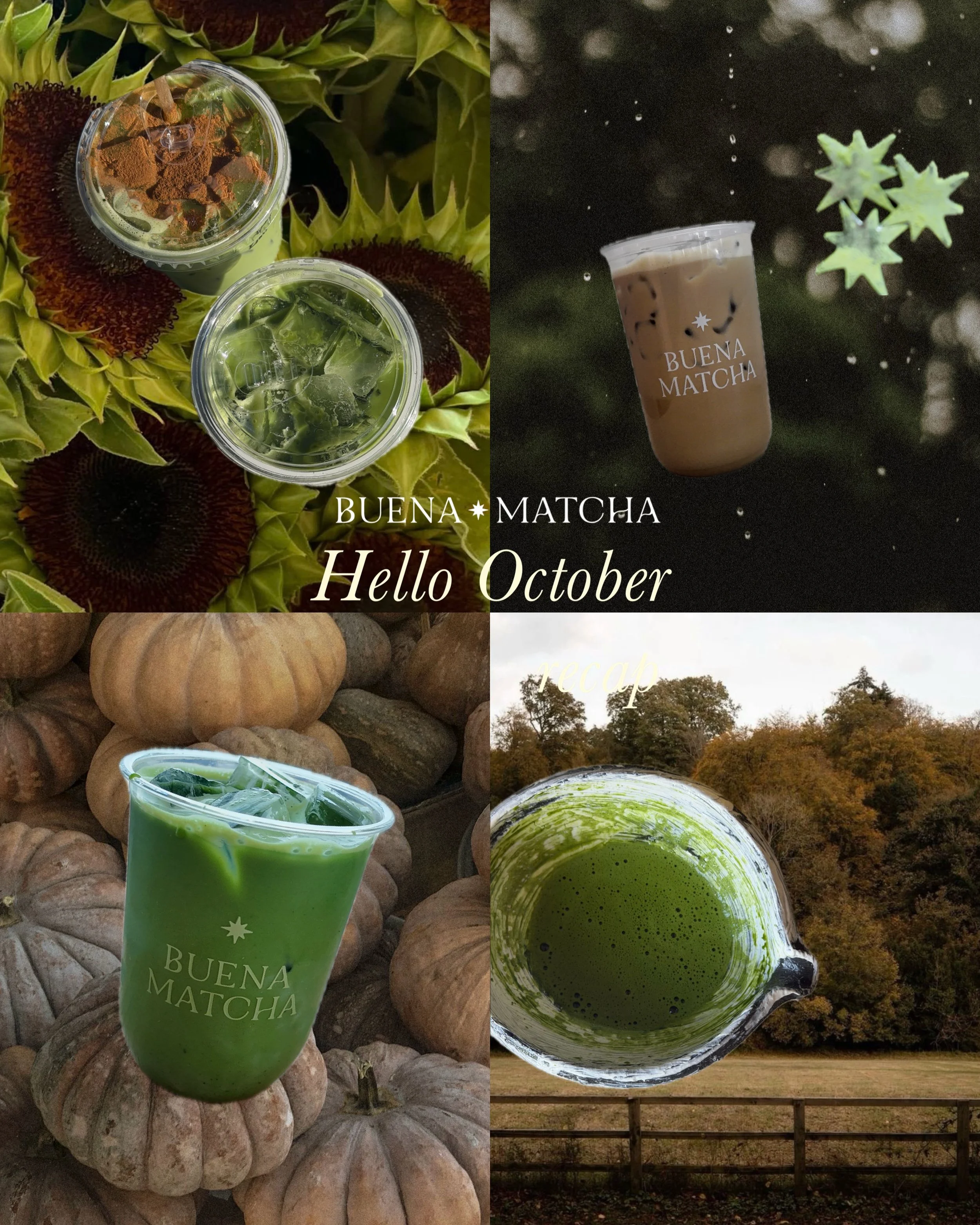 October, but make it matcha. 🍂

A new month filled with slower mornings, warmer flavors &amp; all the matcha moments.

We&rsquo;re especially excited for all the memories we&rsquo;ll be making with you at the pumpkin patch this month. 

Hello, Octob