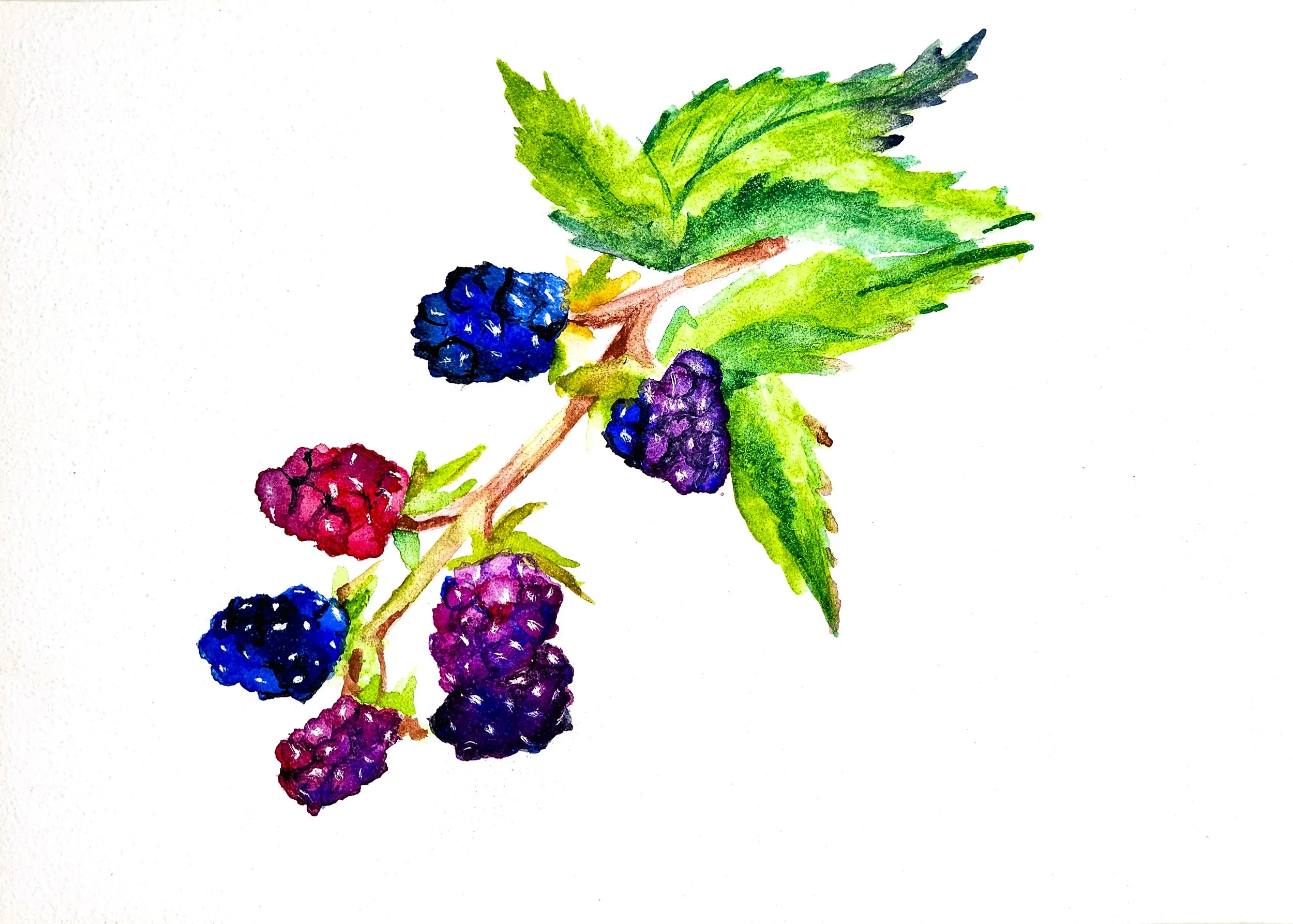 20230205_212945 (1).jpg