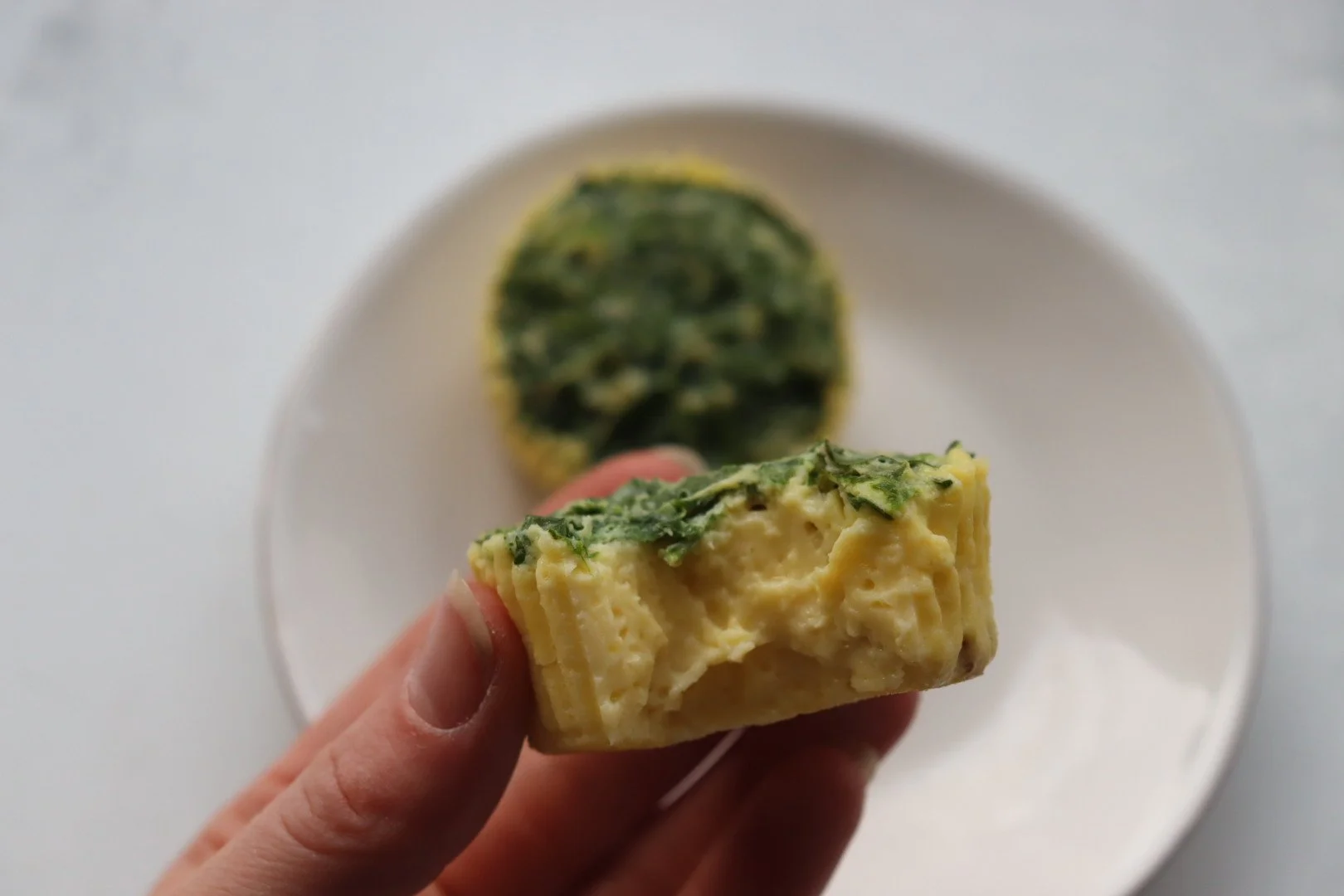 Mediterranean Egg Bites