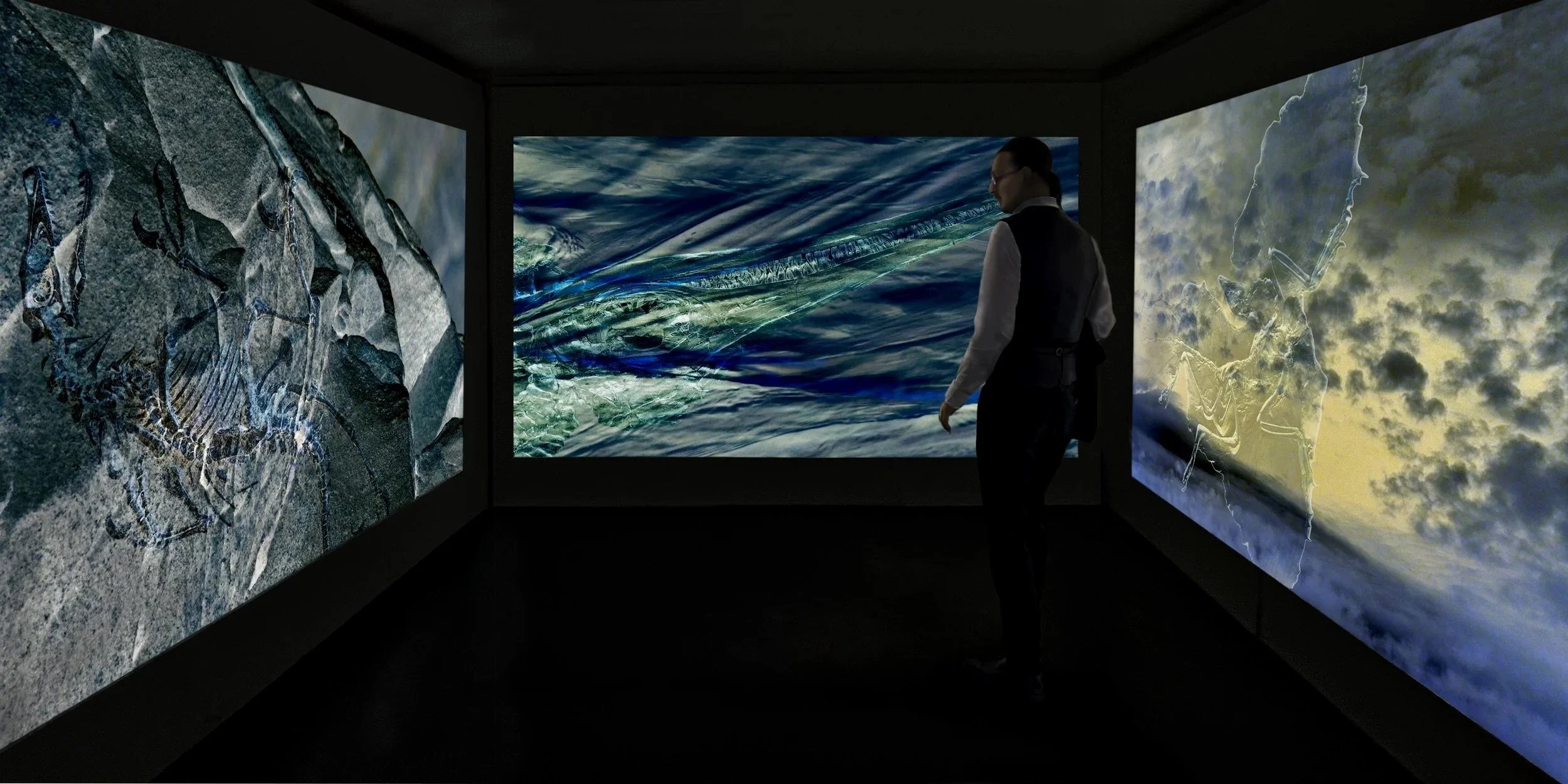 Tellus Nullius - Tria,  immersive installation
