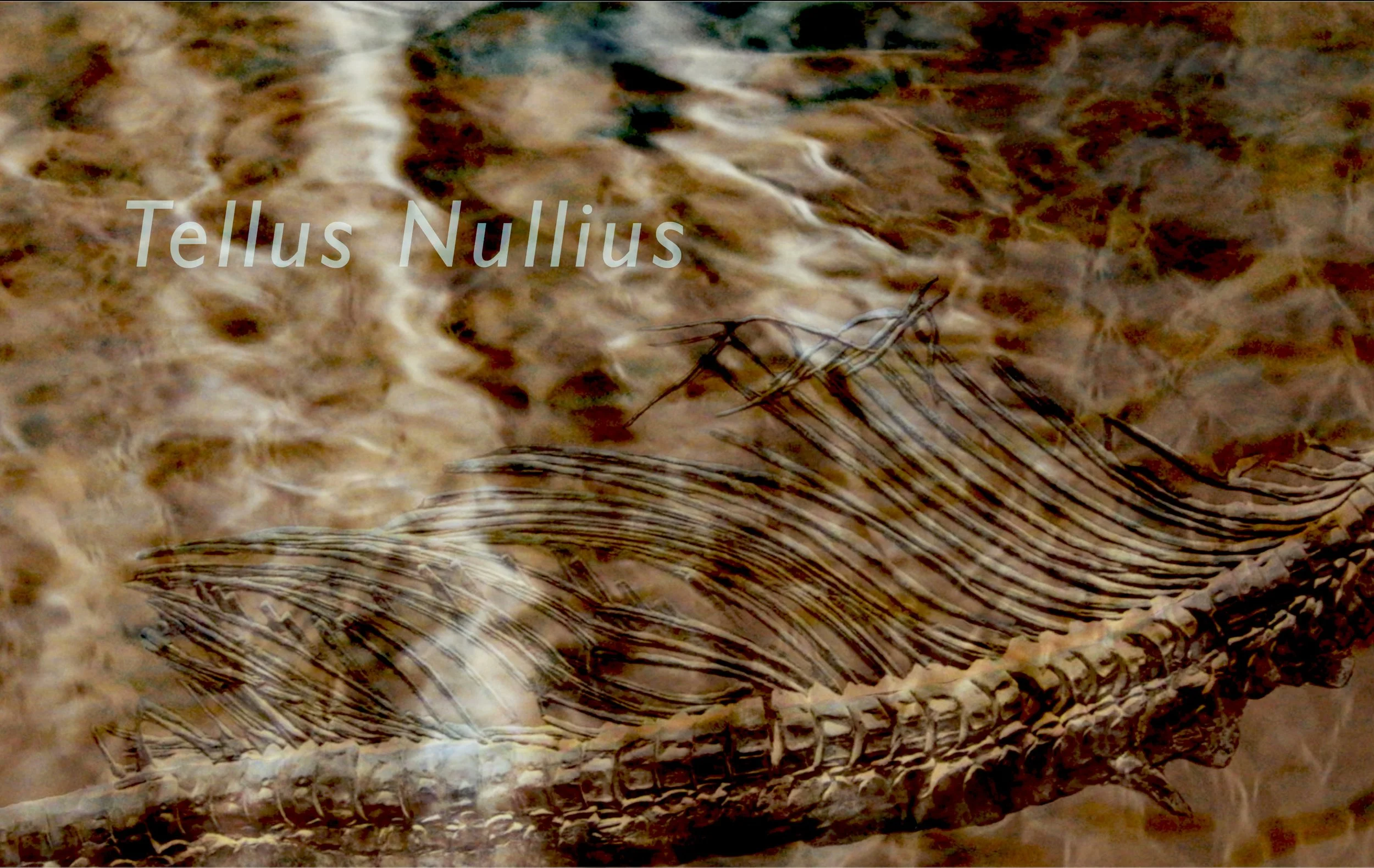 Tellus Nullius - Sola, single channel video