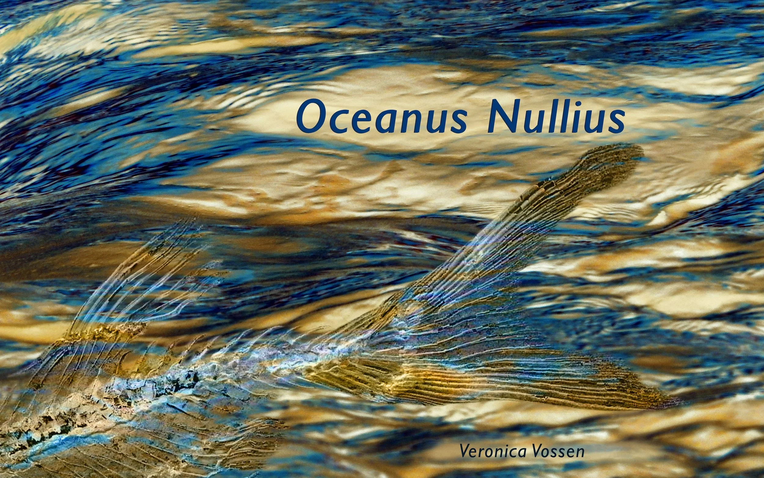 Oceanus Nullius - single channel video