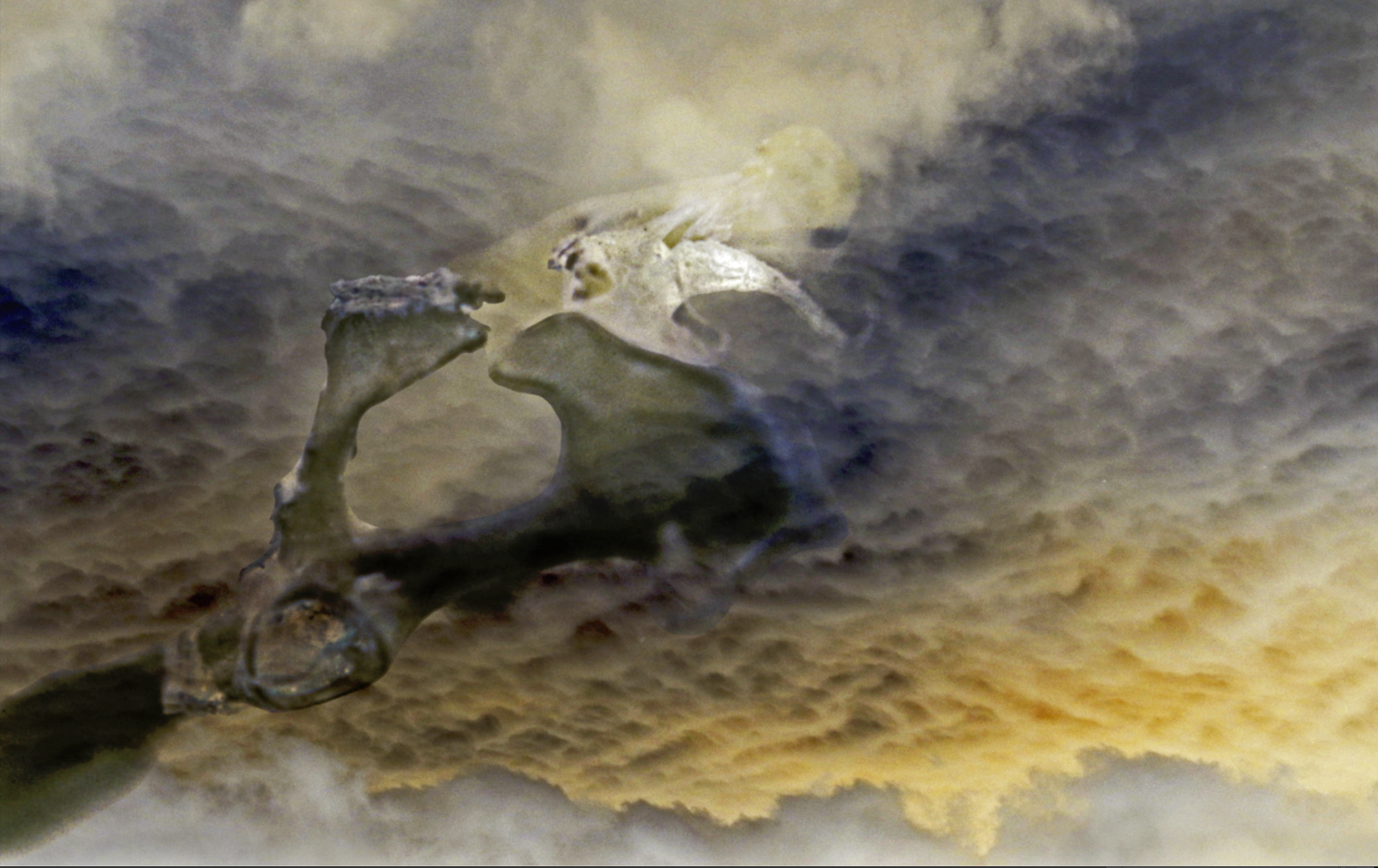 Tellus Nullius Sola, screenshot