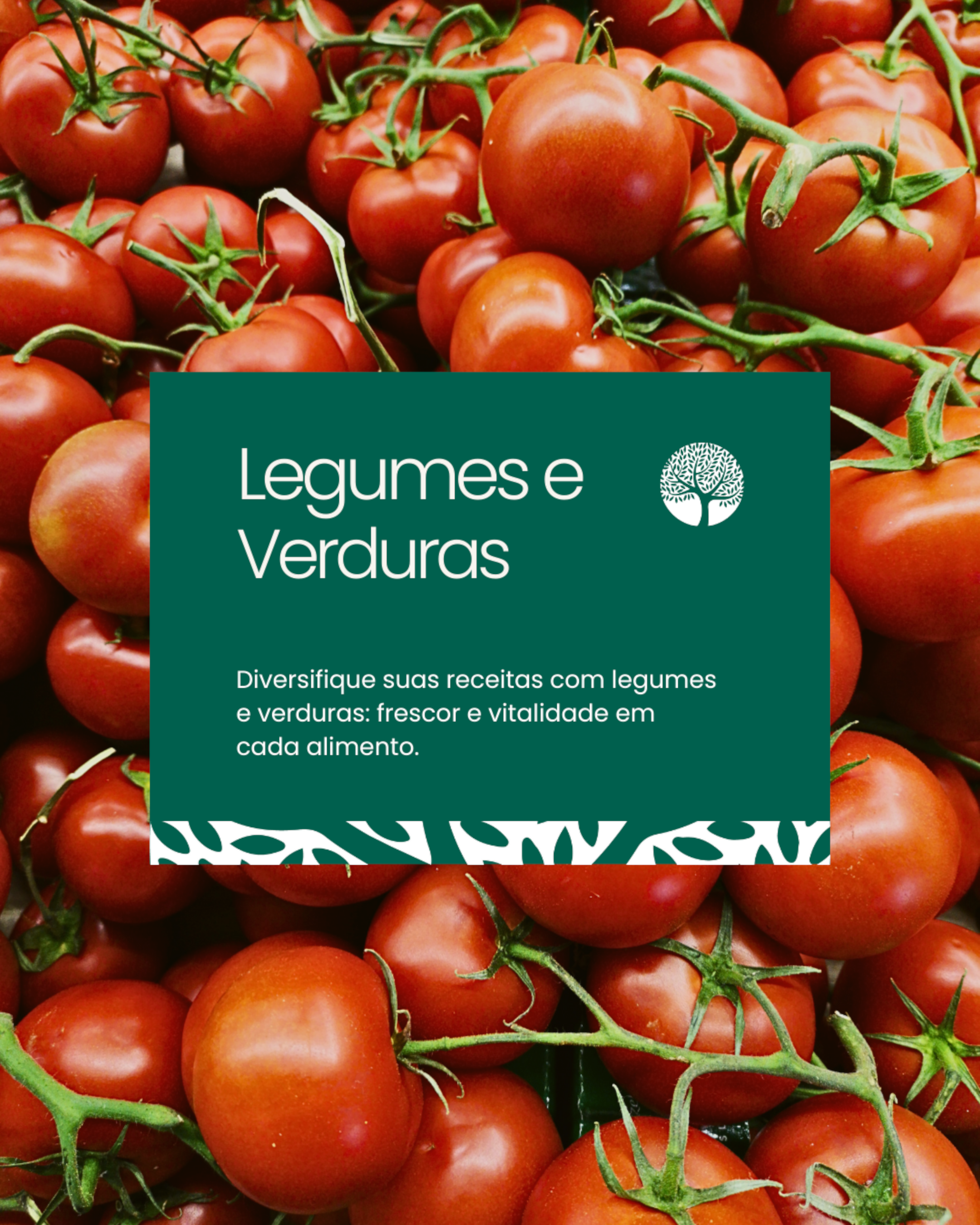 legumes e verduras.png