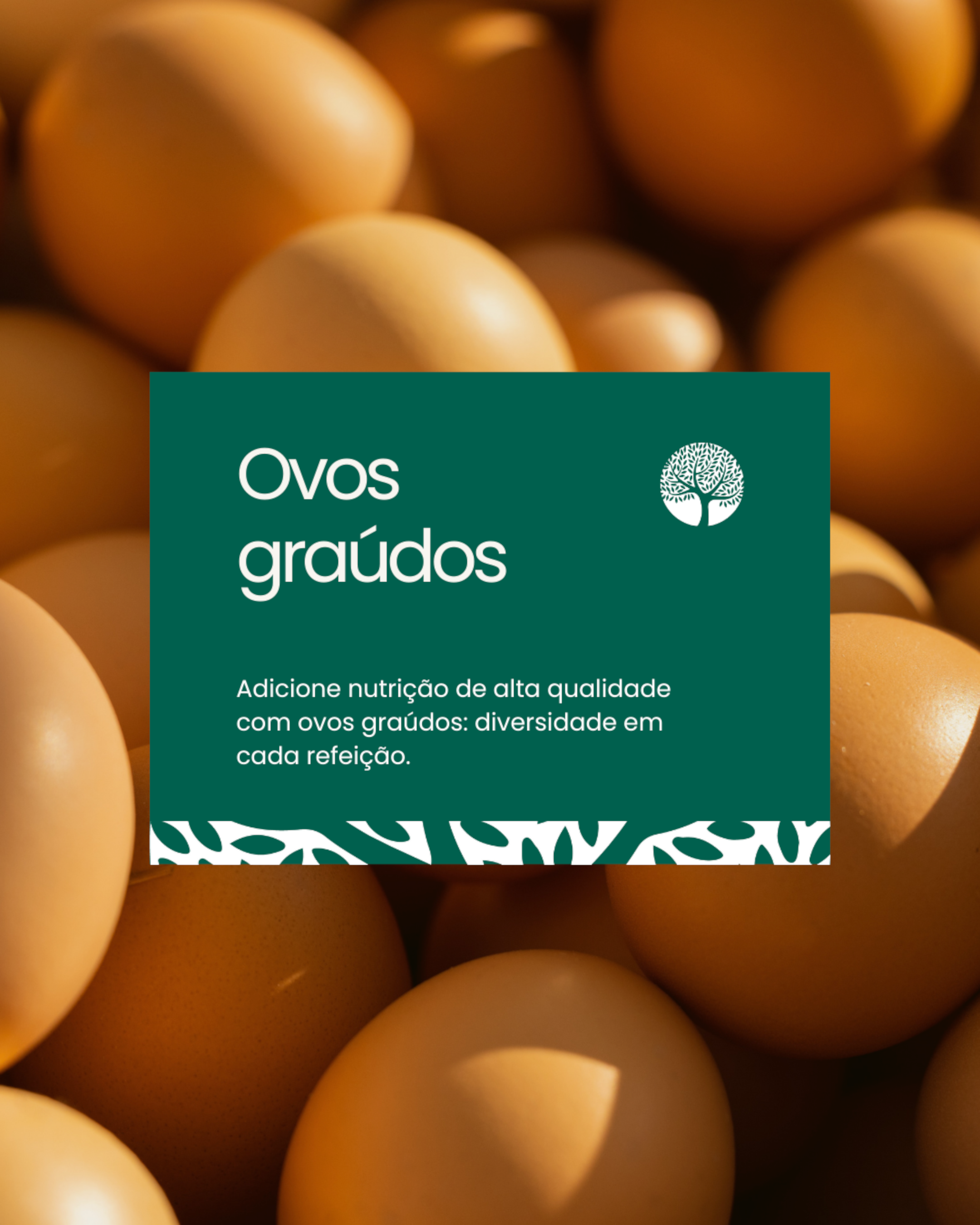 ovos graúdos.png