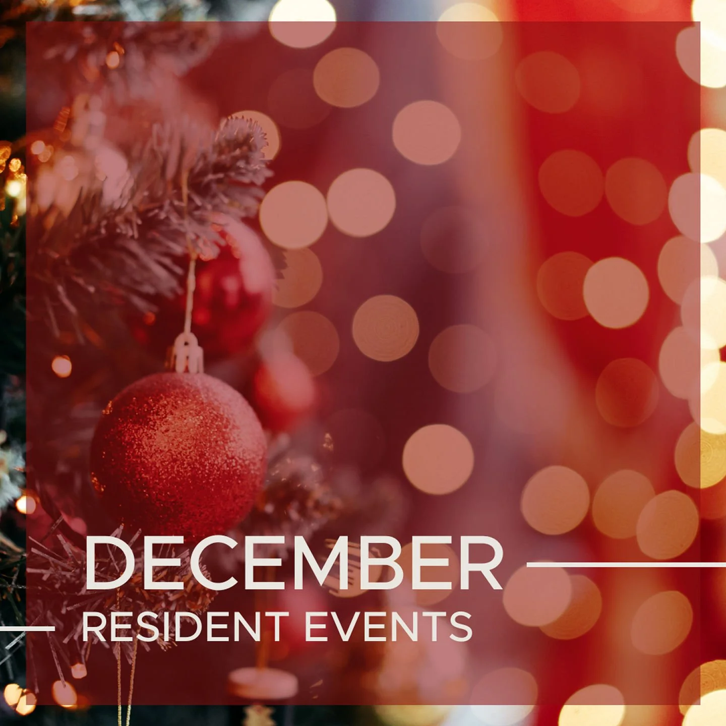 t&rsquo;s the most wonderful time&hellip; for resident events! ❄️✨ Swipe to see what&rsquo;s happening this December.