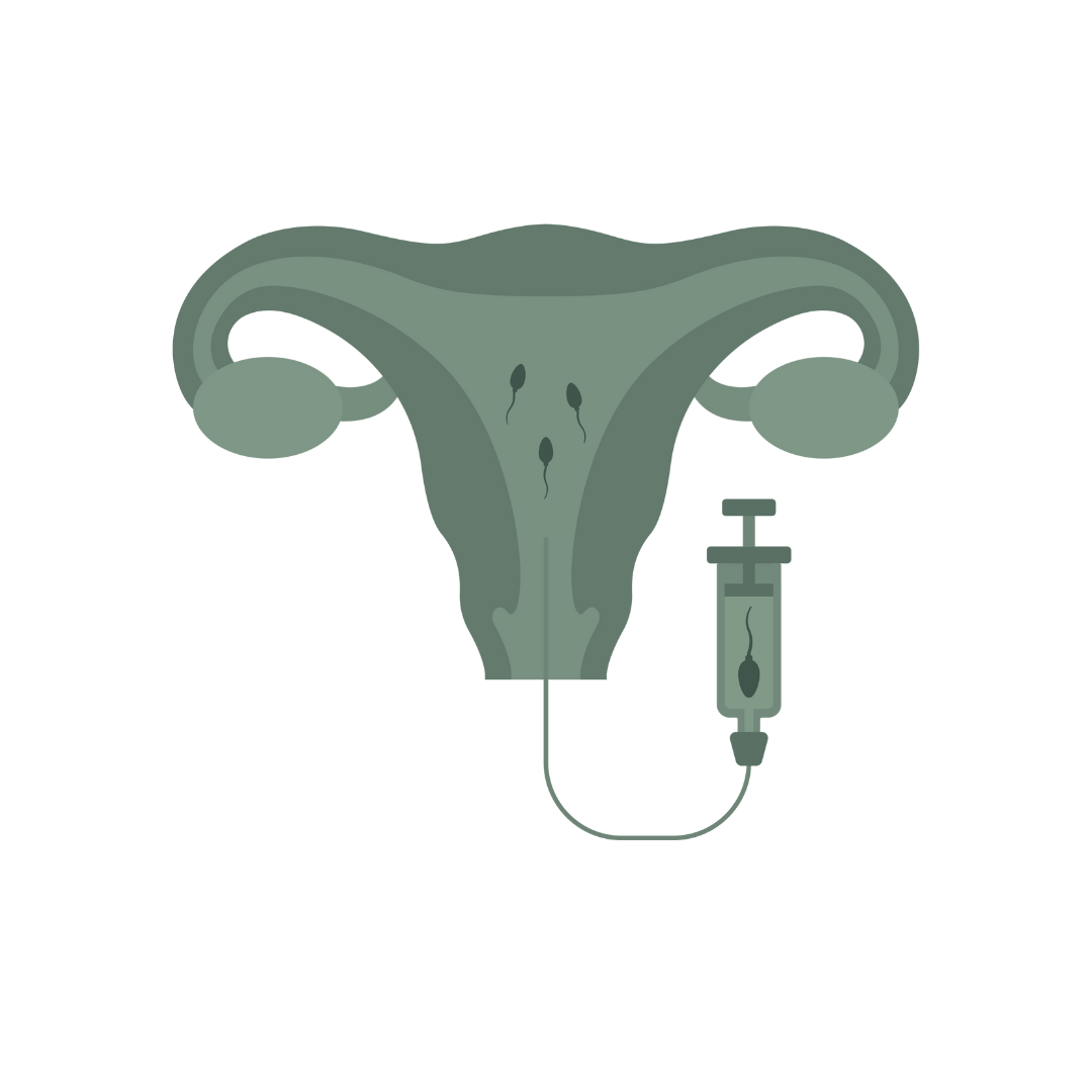 Babies Template-5.png