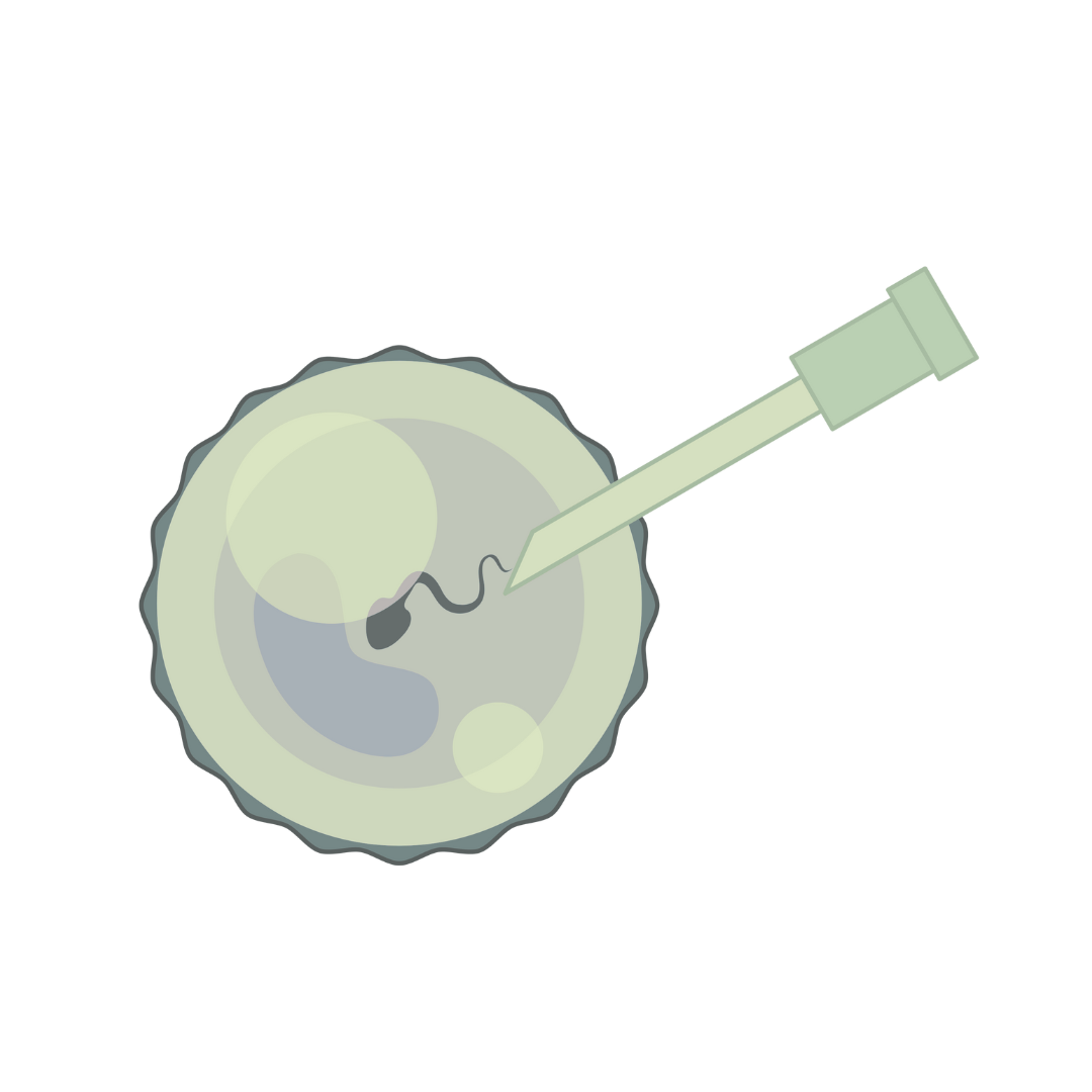 Babies Template-6.png