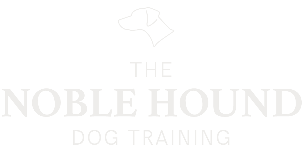 The Noble Hound Dog Training