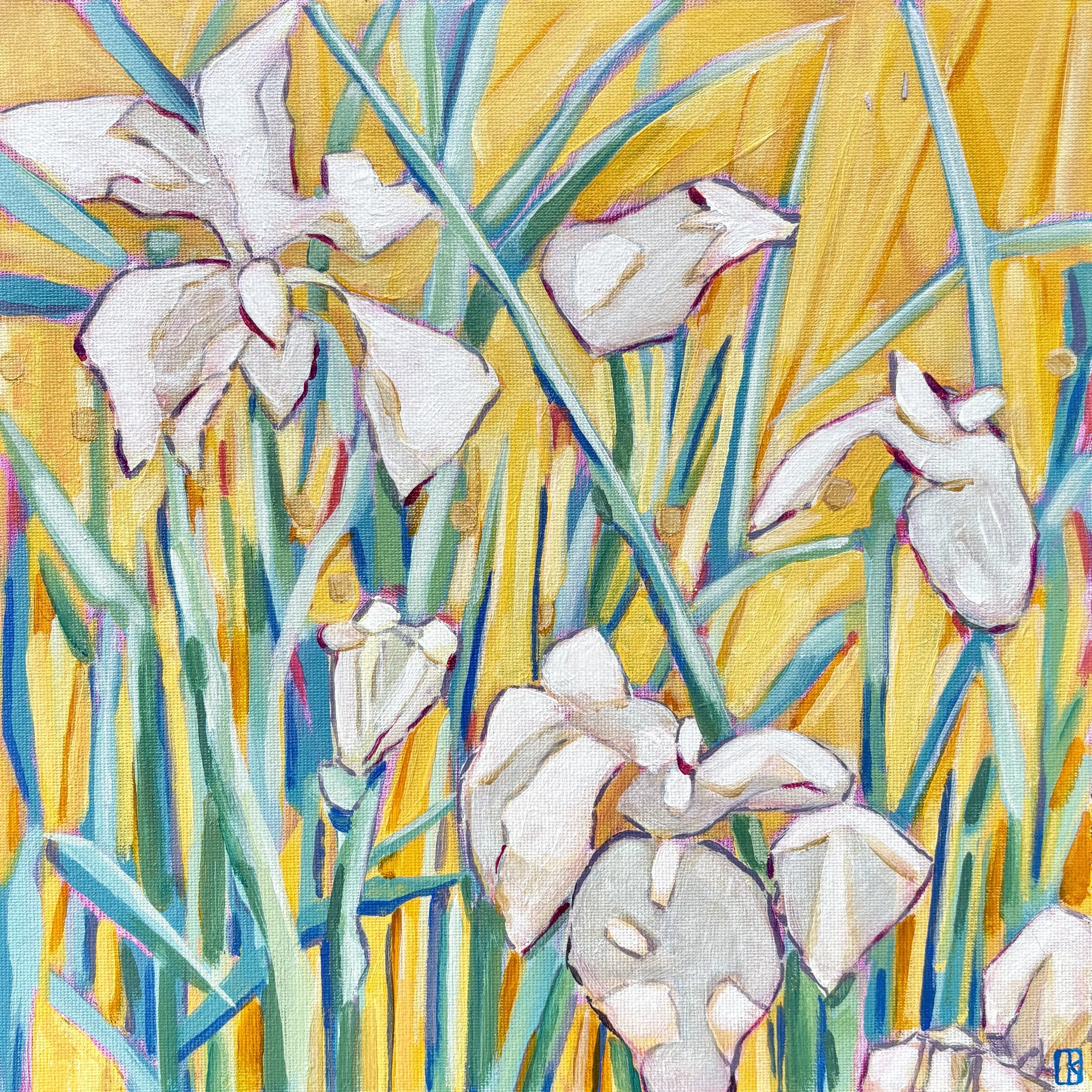 12 x 12 2026 03 Kaufman CINDY Iris in Sunshine.JPG