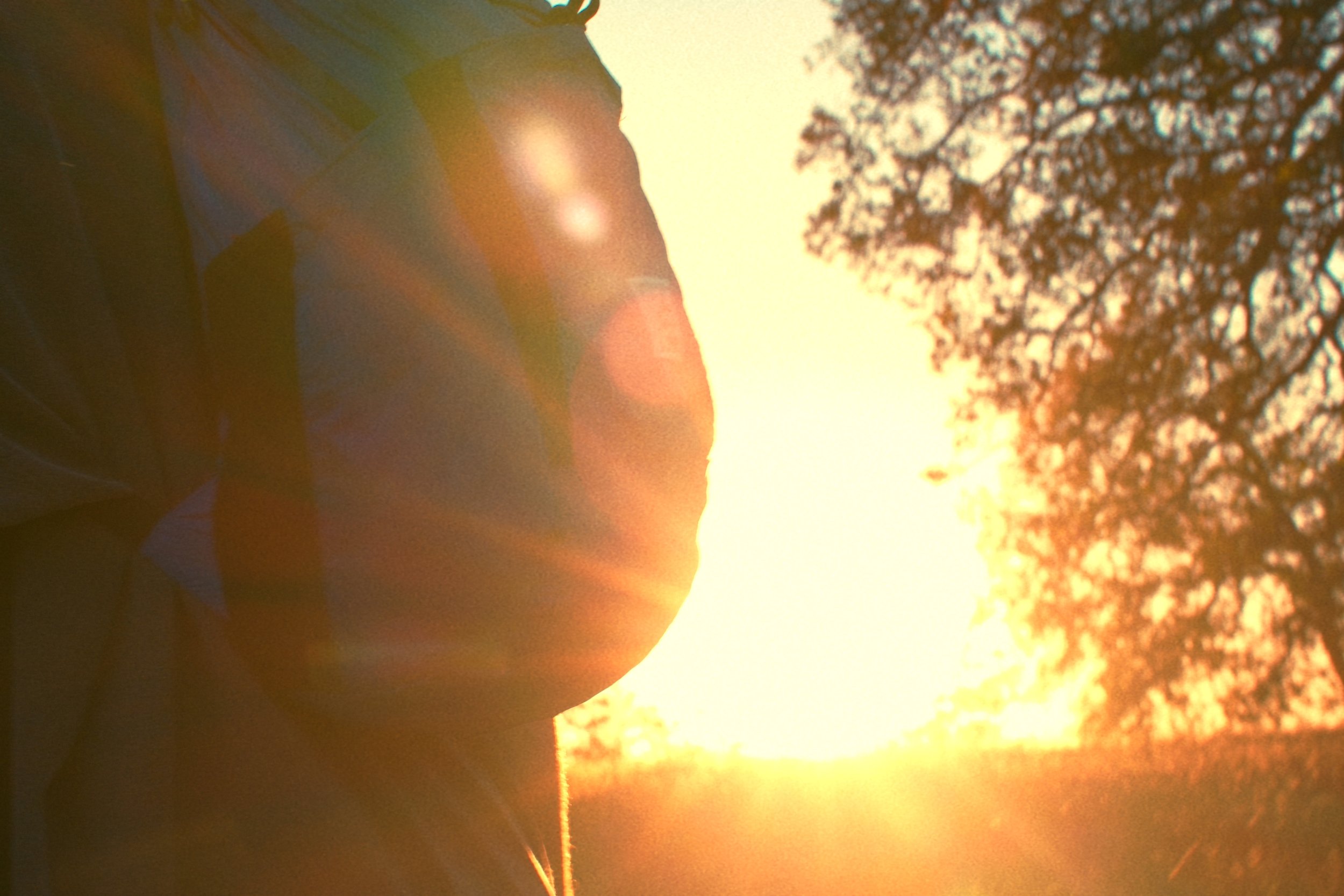 Still 2026-04-02 153415_1.6.1.jpg