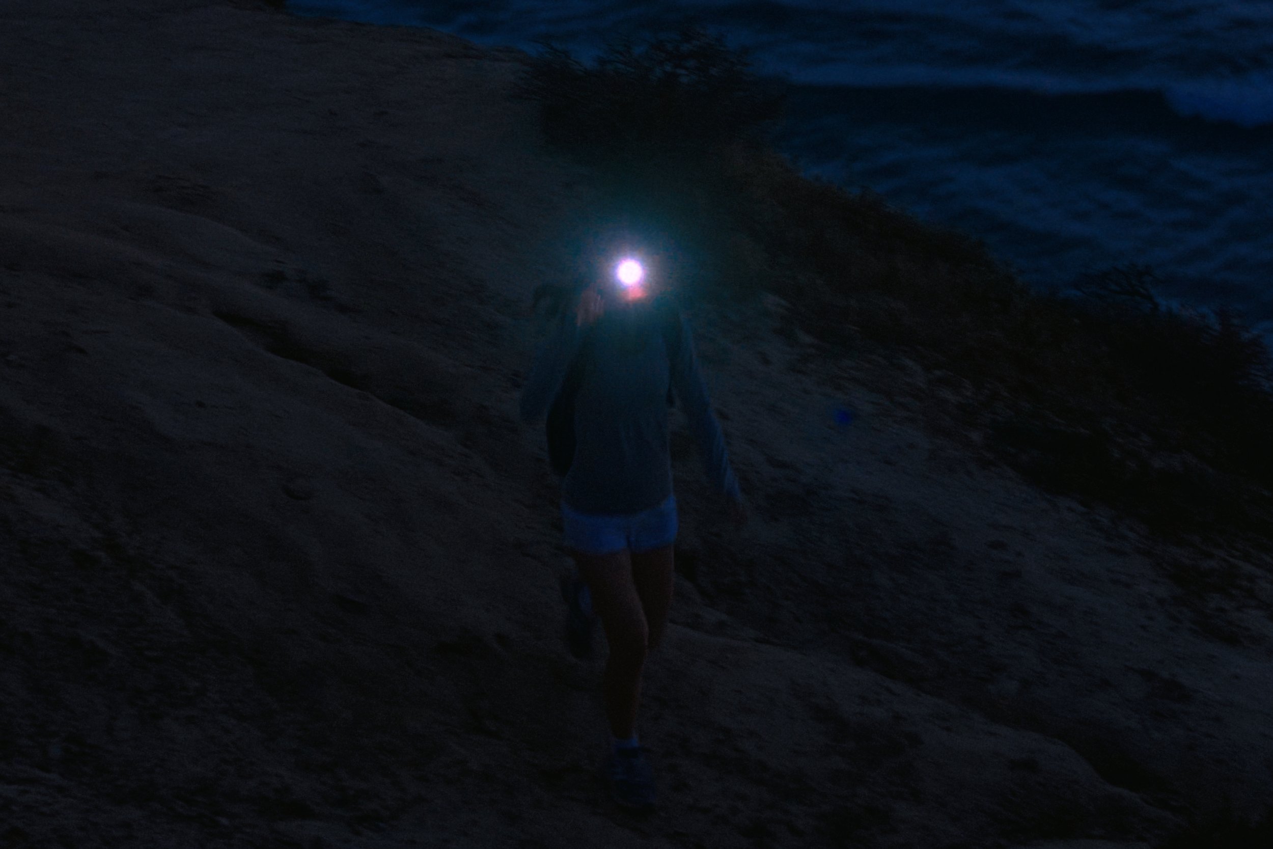 Still 2026-04-02 153415_1.17.1.jpg