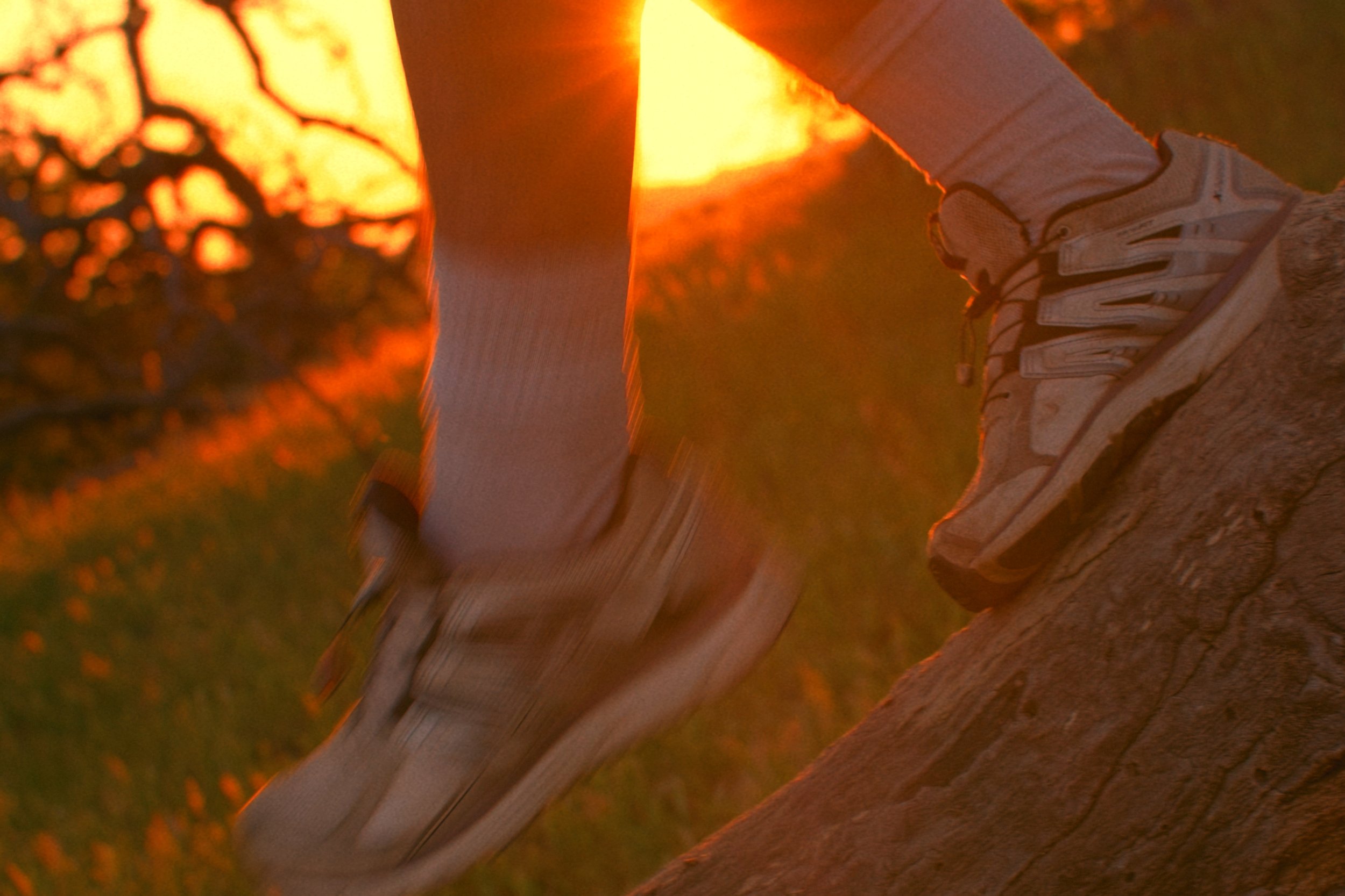 Still 2026-04-02 153415_1.21.1.jpg