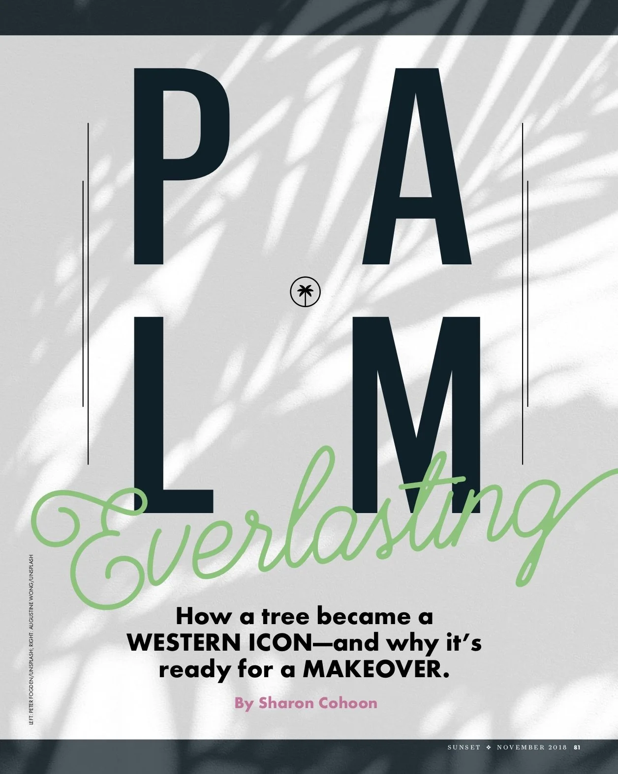 As a native of chilly Canada, palm trees will always be a wonder to me. I pitched this story to share the history of palm trees in the American west — and what their future may look like. (Sunset magazine)