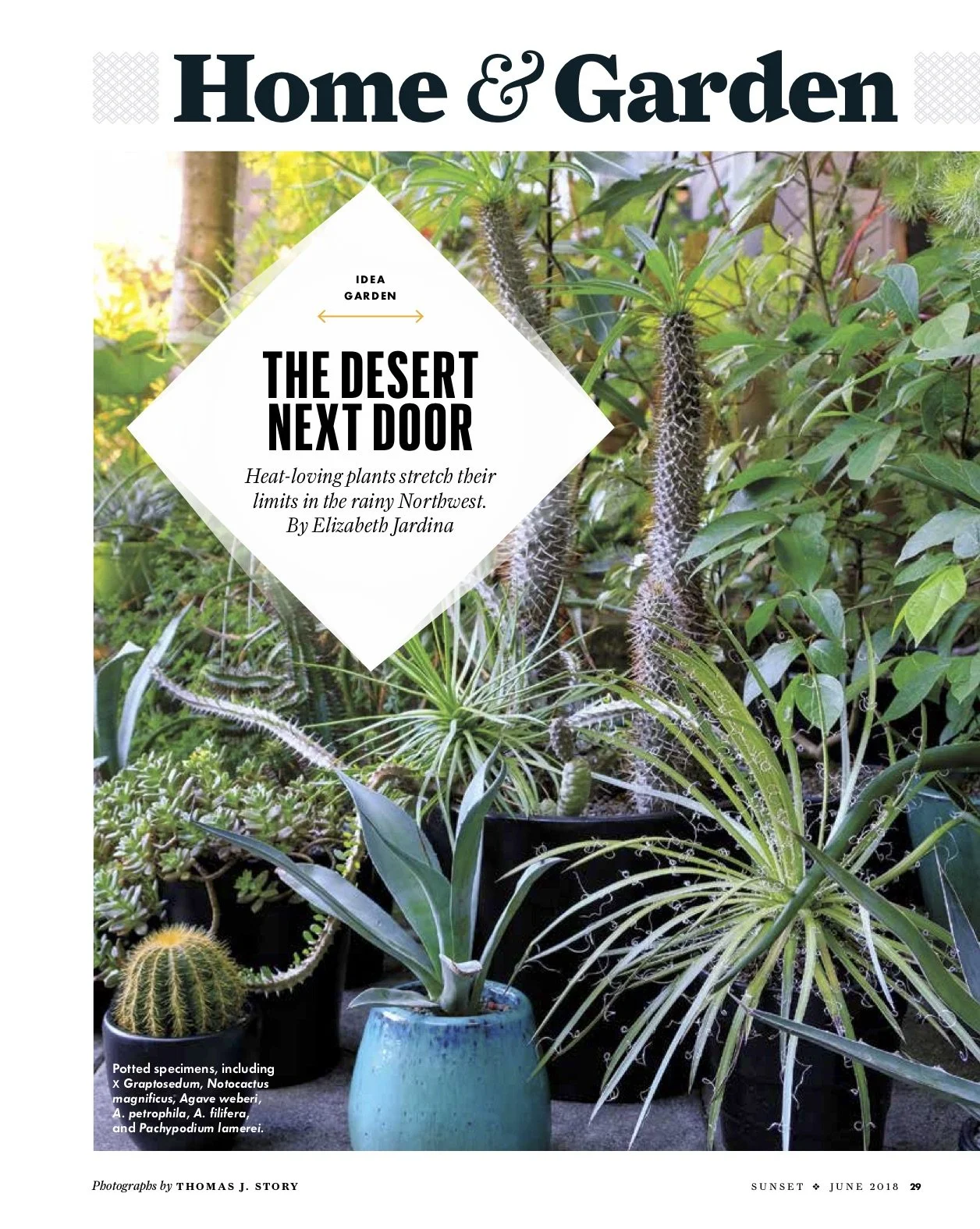 Against the odds, there's a desert garden in the Pacific Northwest. We went to take a look. (Sunset magazine)