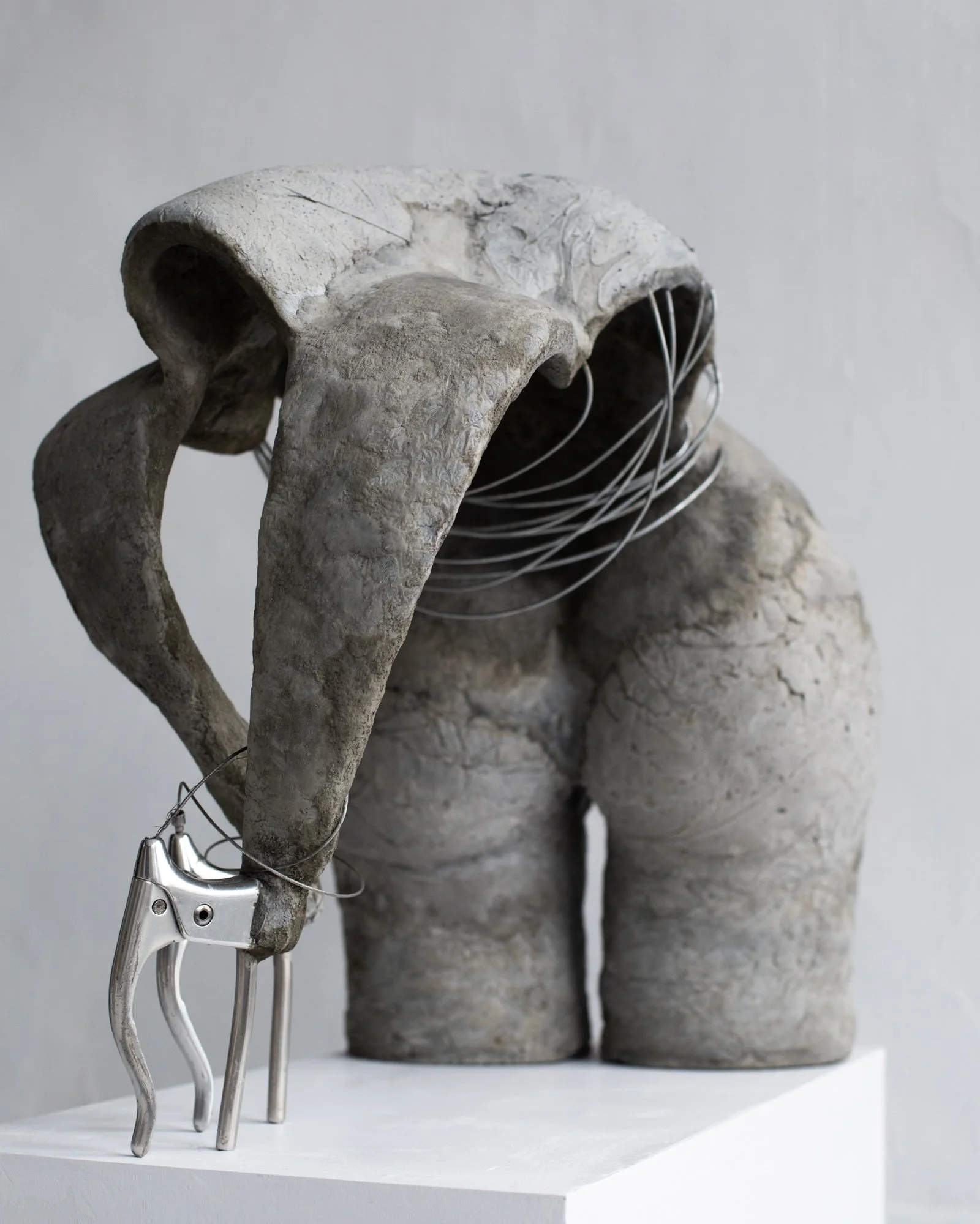 Eleen Halvorsen_breaks on_2025-7 copy.jpg