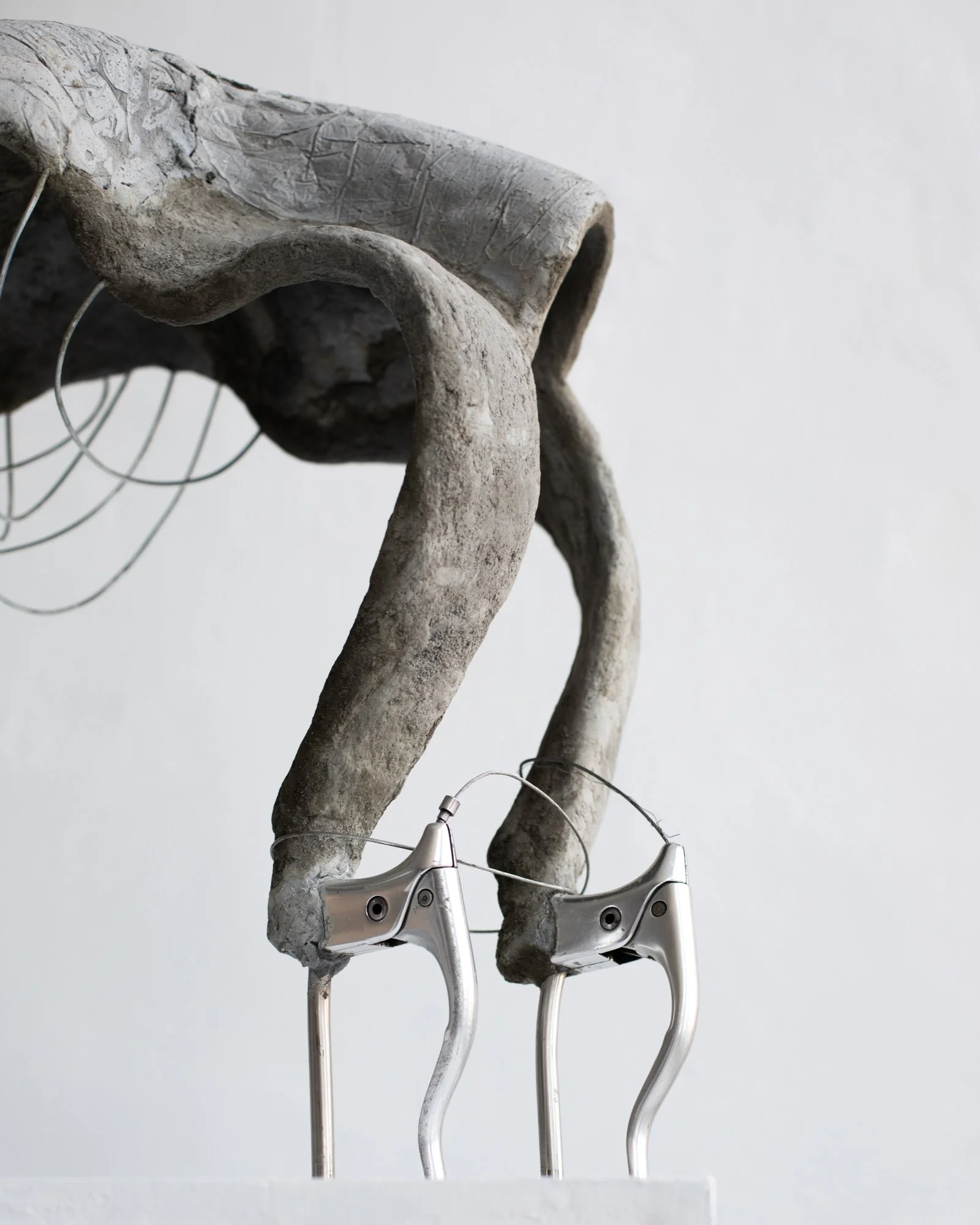 Eleen Halvorsen_breaks on_2025-16 copy.jpg