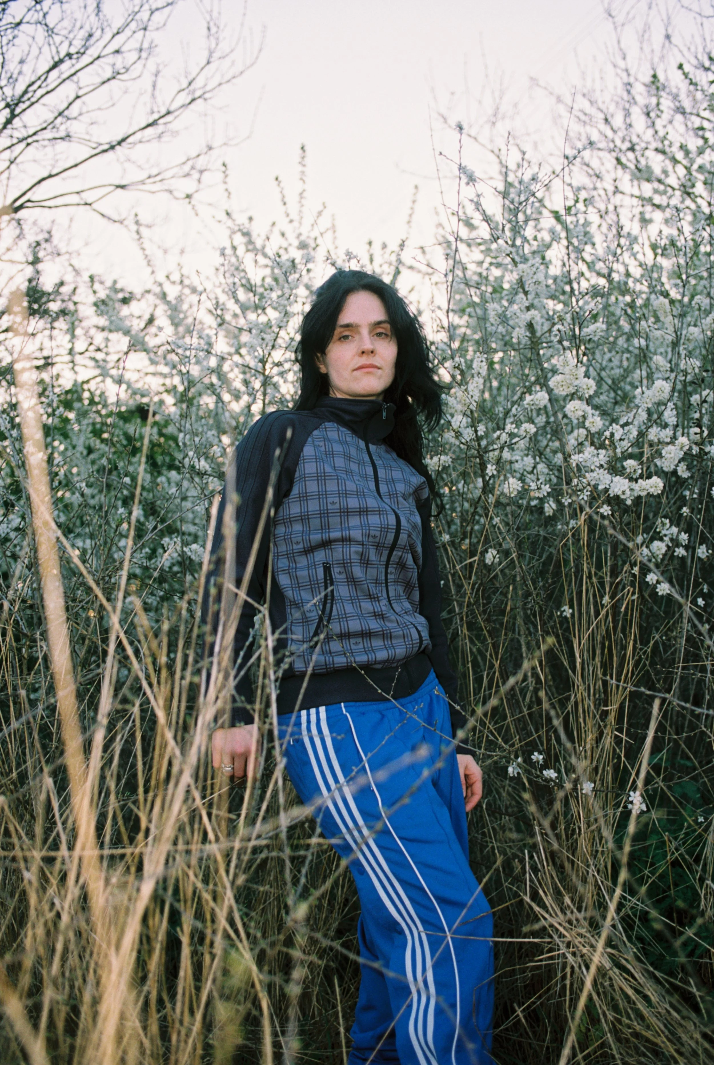 DIGITAL ISSUE 02: Sassy 009 Is More Than a Dreamer