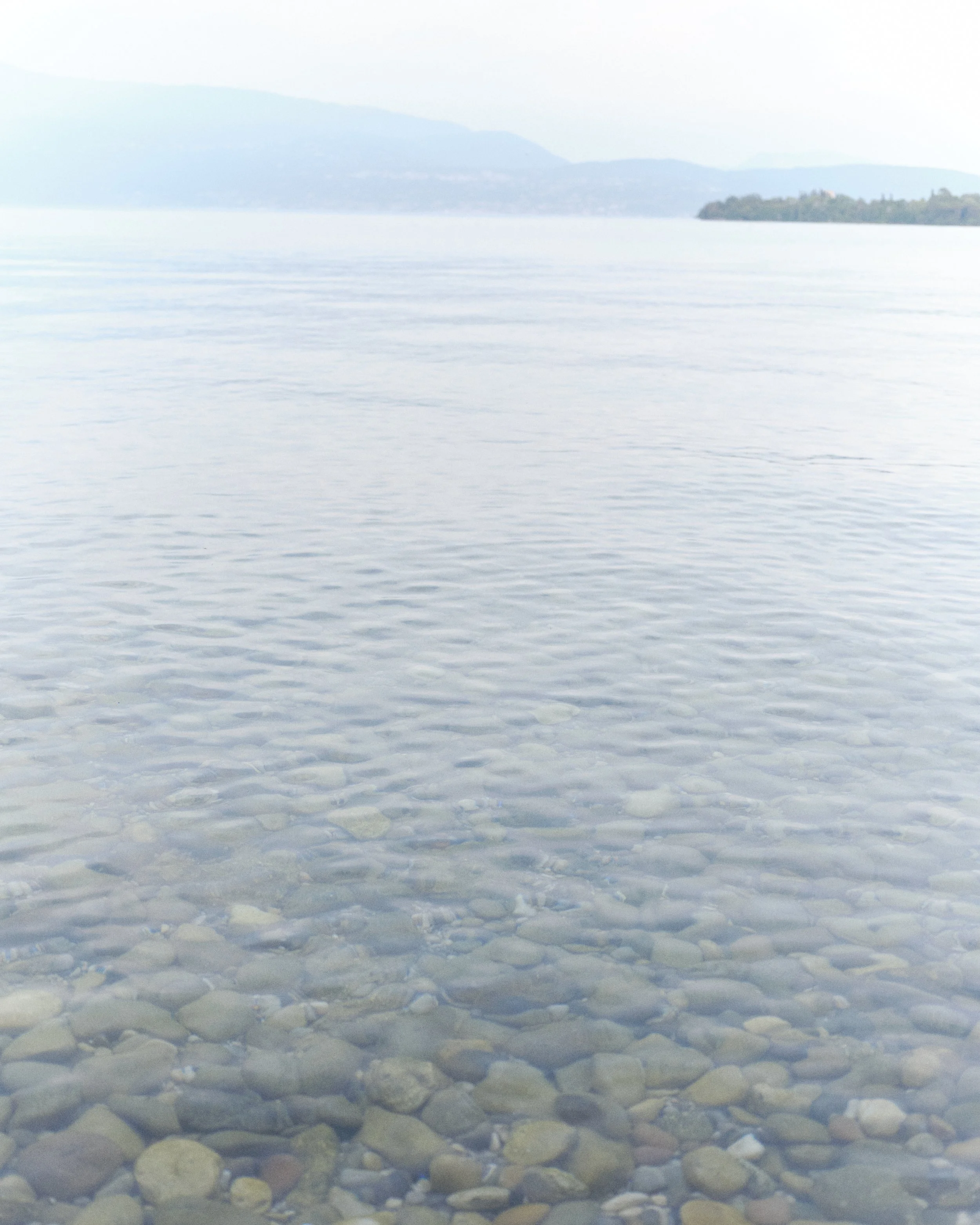 DSCF2368.jpg