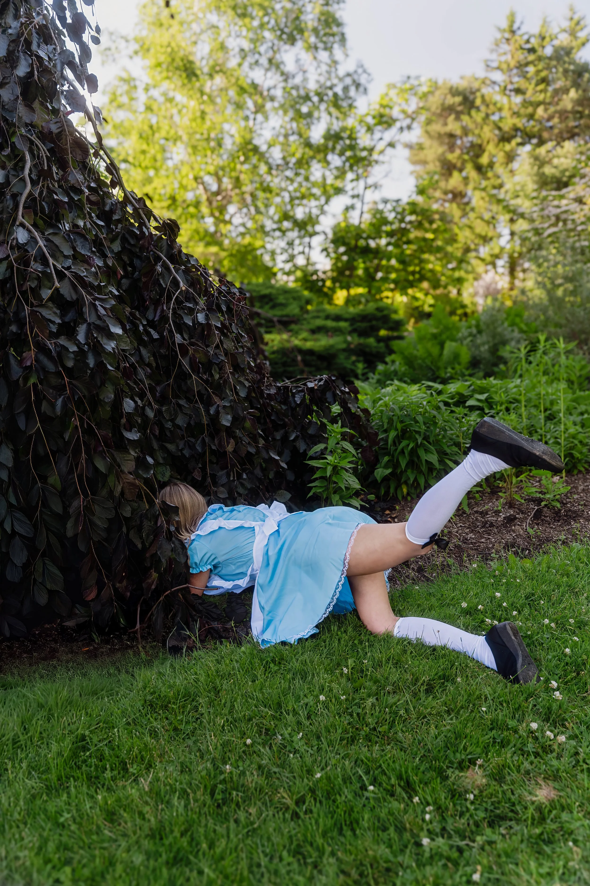 Alice in Wonderland-inspired portrait of a woman crawling beneath a tree as if entering Wonderland at Niagara Falls Botanical Garden. Whimsical fantasy storytelling portrait photographed with a Sony Alpha 7V by Lara Grace Creative Studio.