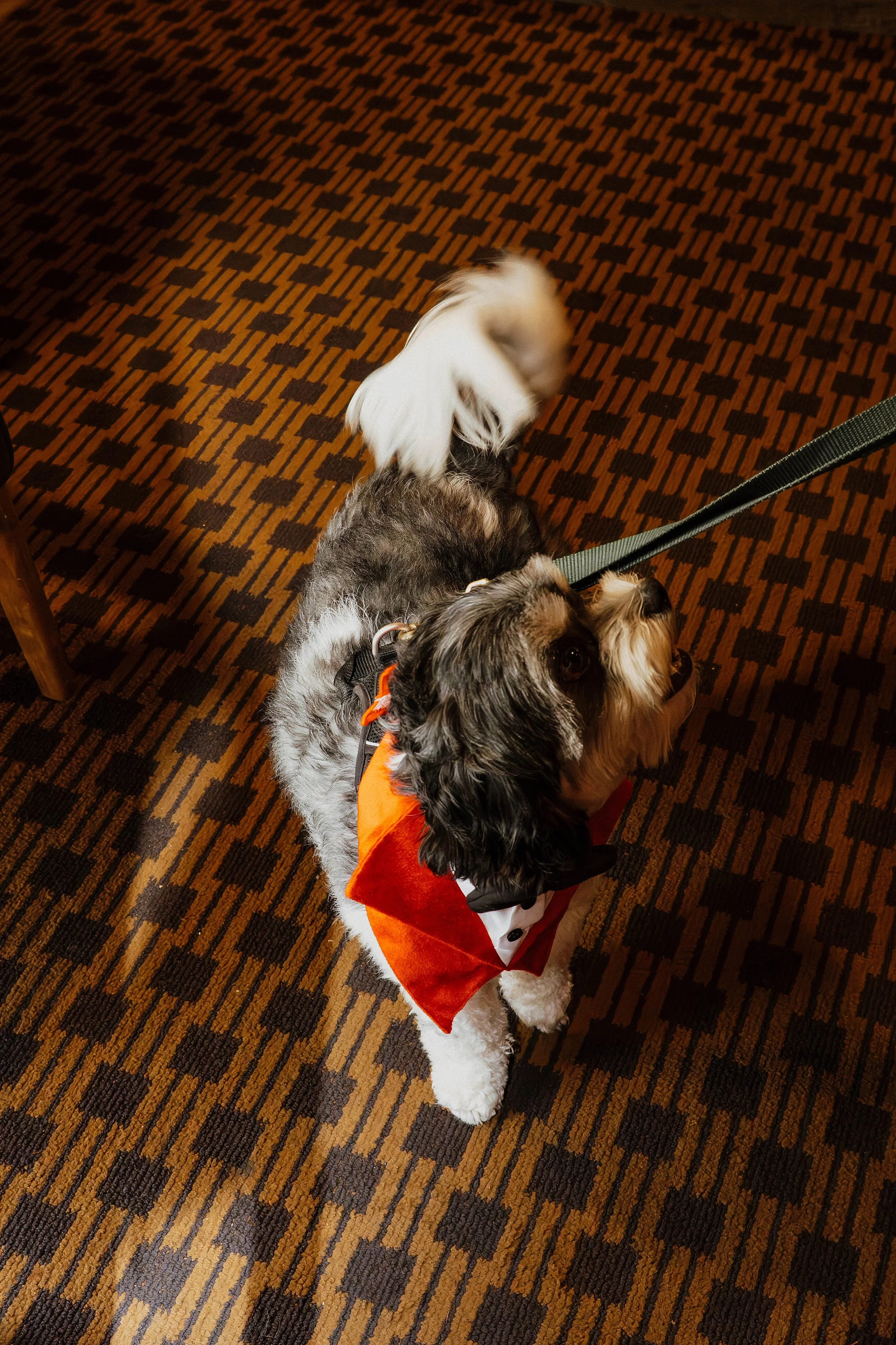 DSC09242-topaz-sharpen (1).jpeg